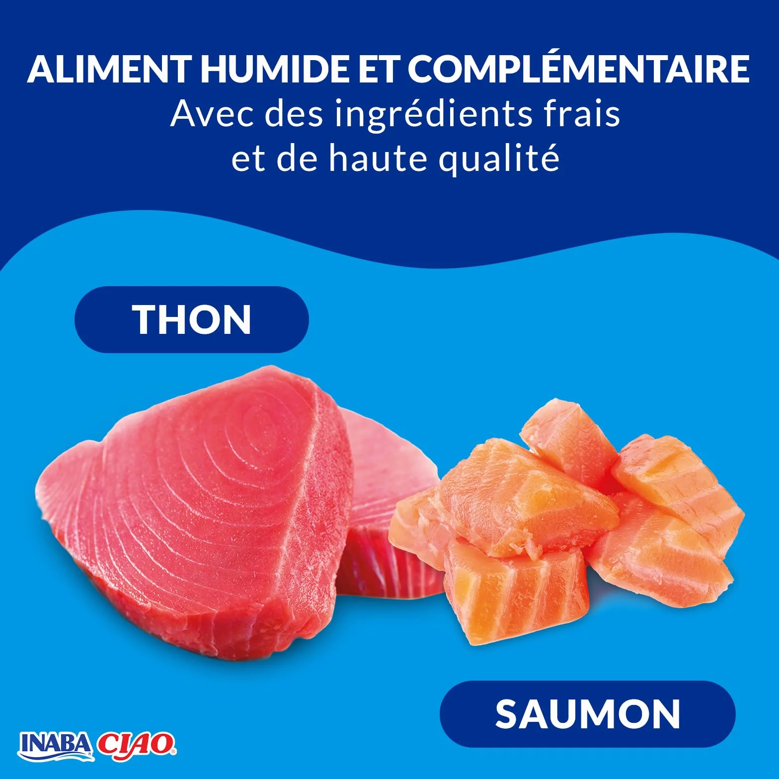 INABA Ciao - Bisque Thon & Saumon - Friandise pour Chat Humide - 1 x 40g - Délicieuse et Saine - Purée - Plat d'accompagnement - Complément Naturel et sans céréales - Pâtée pour Chat