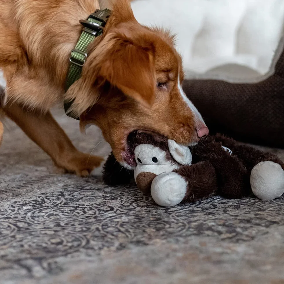Nobby Jouet Singe Safari Peluche pour Chien Brun 41 cm