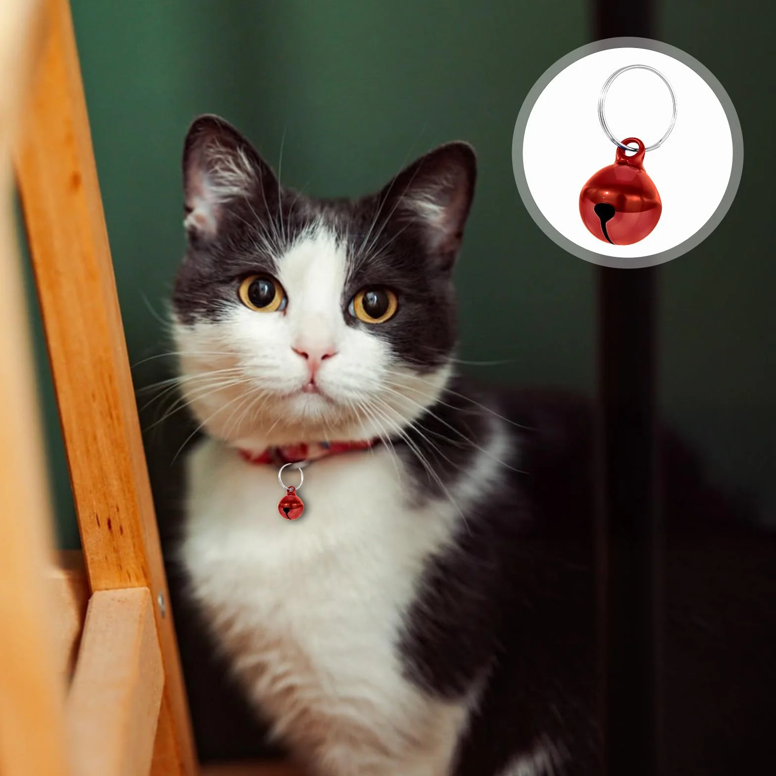 Clochettes colorées pour animaux de compagnie, son net, pour chat et collier chien, anti-perte, pendentif dressage