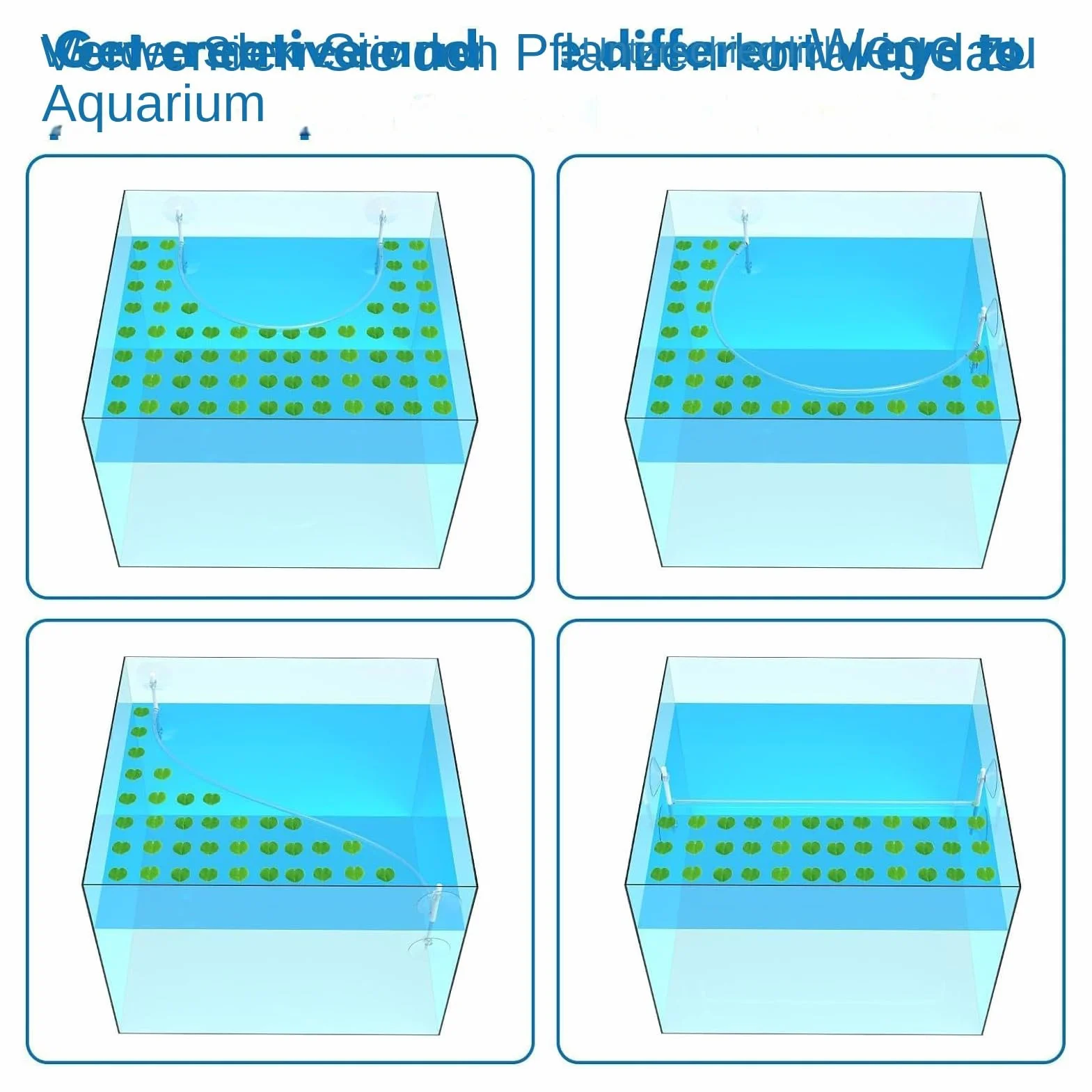 Generisch Anneau d'alimentation pour aquarium, clôture de plantes flottante, accessoires pour séparer les plantes