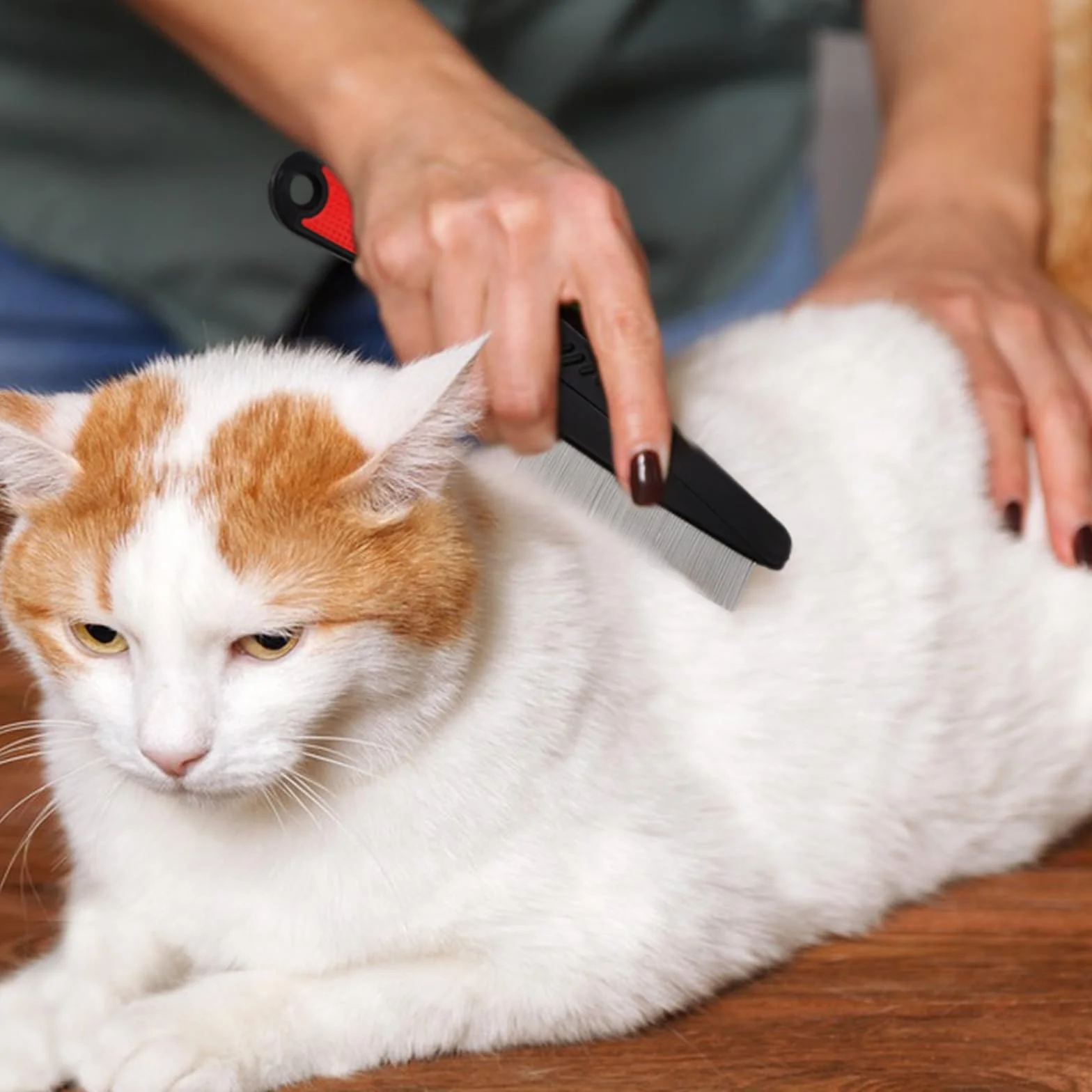 Peignes Anti-Puces pour chat chien, 2 PCS Peignes à Poux en Acier Inoxydable, Peigne à Dents Fines de Toilettage Animaux de Compagnie, Peigne de Nettoyage pour Oeuf de Puce/Poils Flottants/Tiques