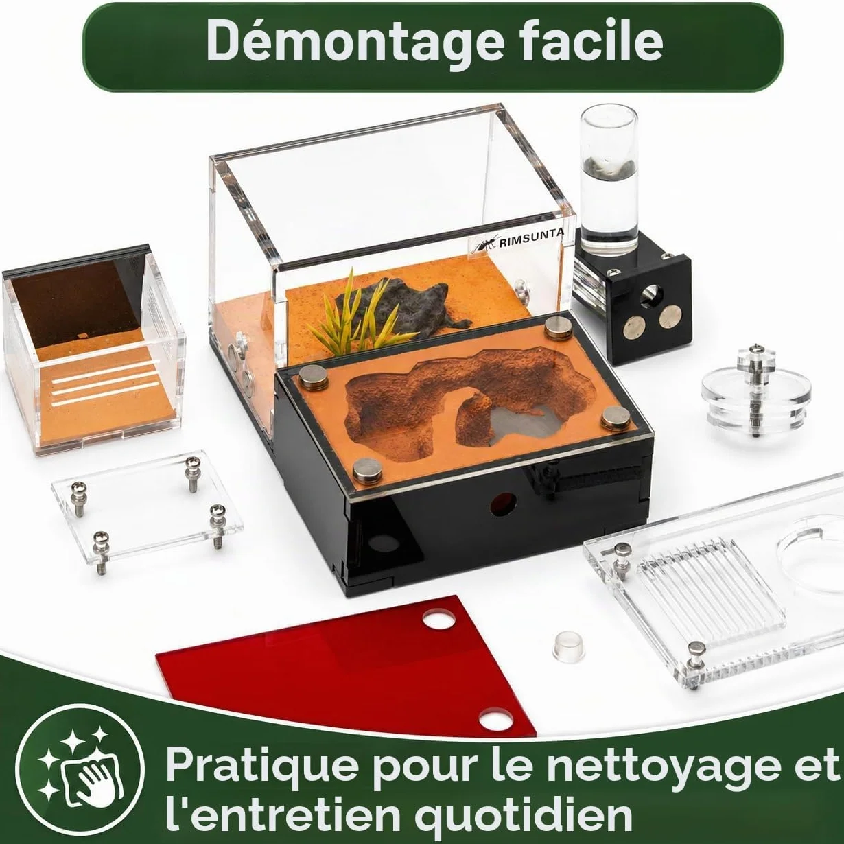 Formicarium Kit Éducatif Habitat de Ferme pour Fourmis Vivantes Reines