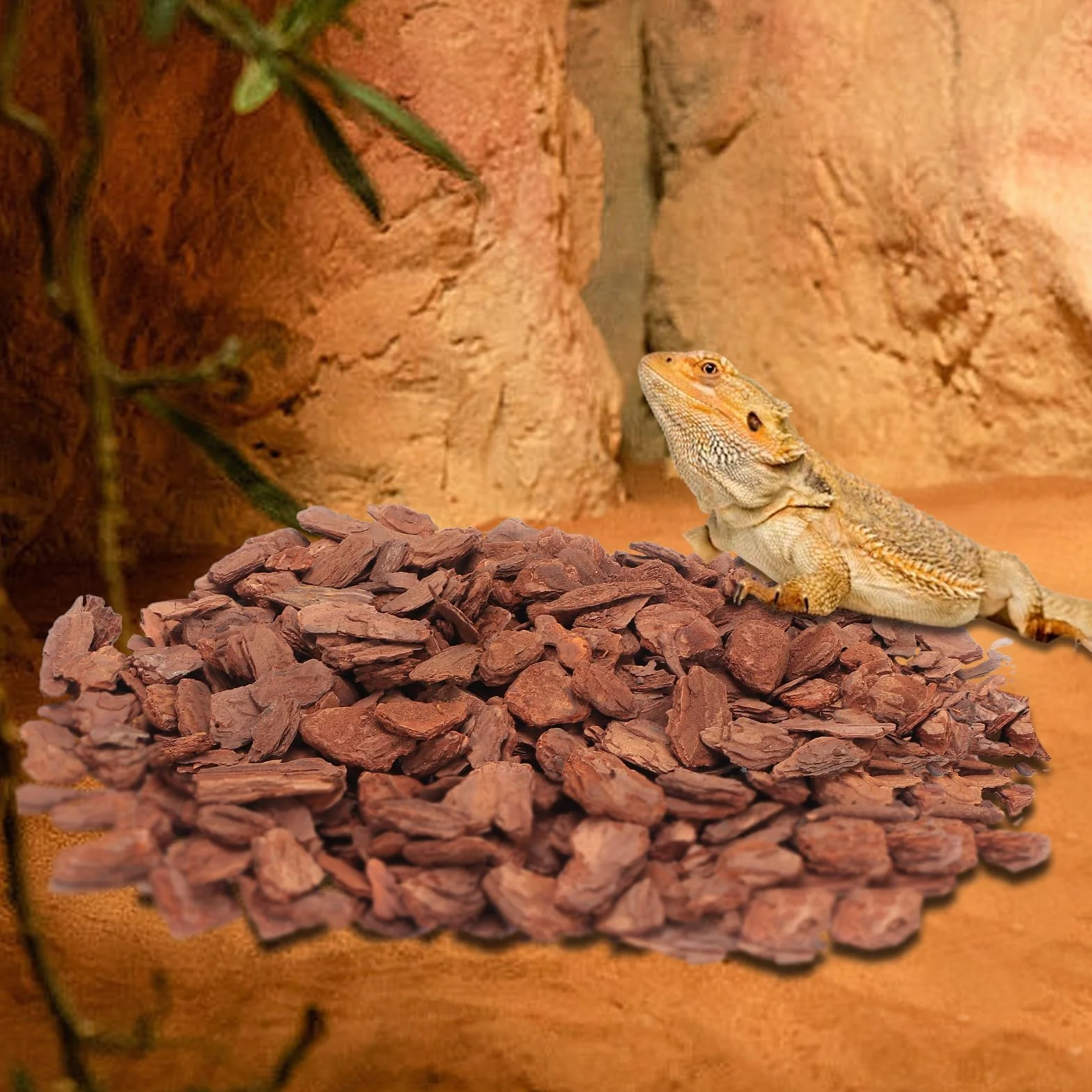 HERCHR Litière d'écorce de Reptile, substrat en granulés de pin pour Tortues Lézards Geckos (S)
