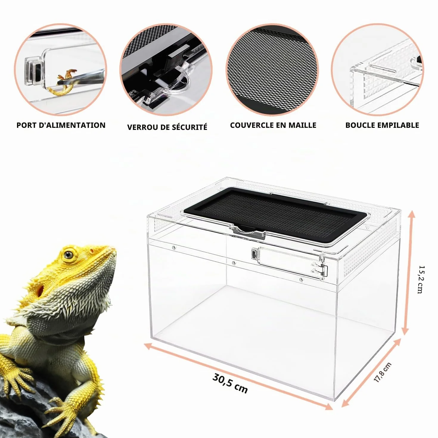 PC Reptile Growth Terrarium, 12" x 7" x 6", Vivarium Vue Complète pour Lézard Gecko Léopard Dragon Barbu