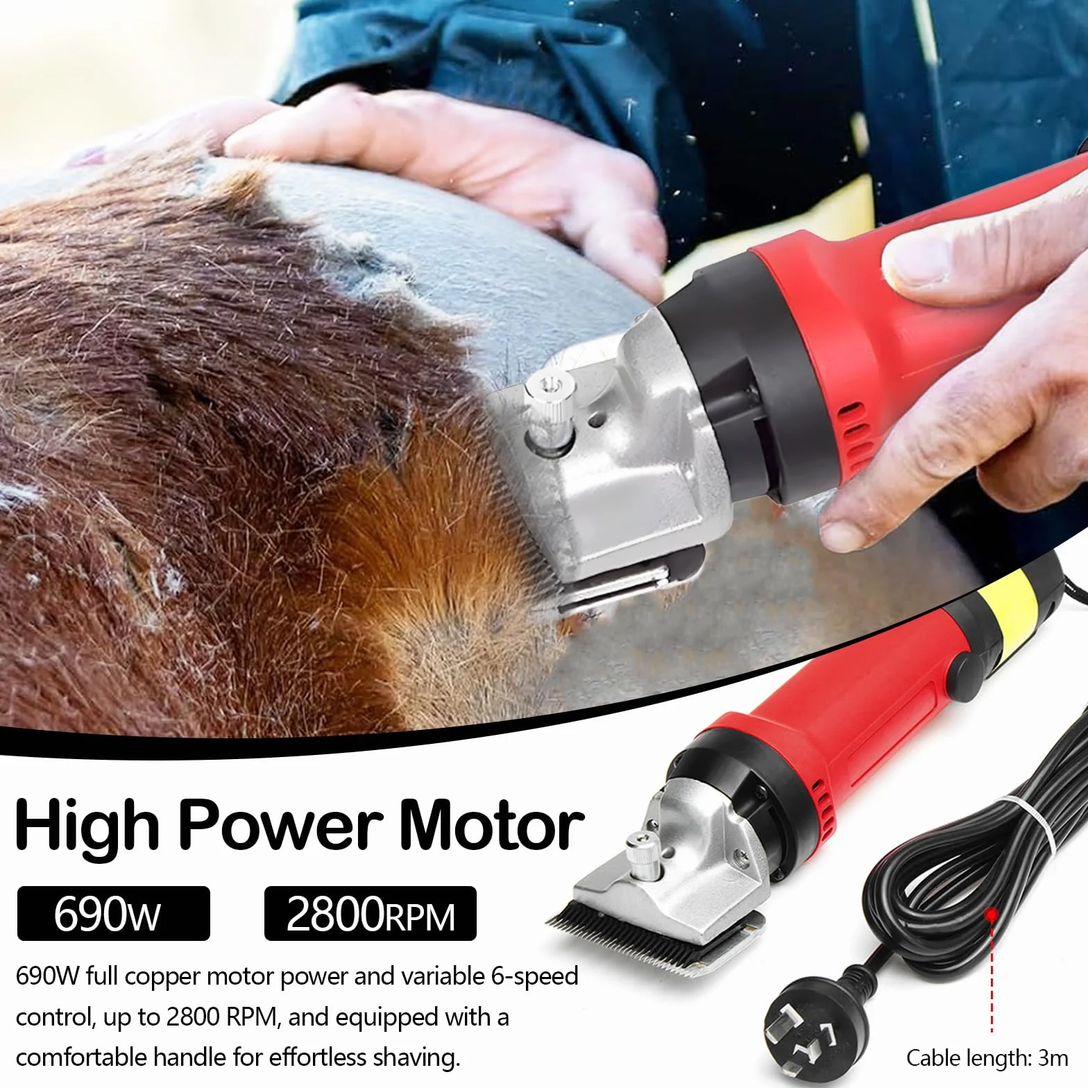 Tondeuse Chevaux Professionnelle 220V 690W Lame 77mm Moteur 2800 tr/min