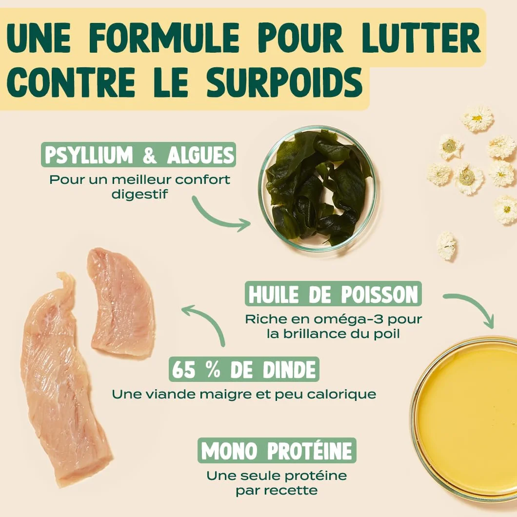FRANKLIN Pâtées pour Chat sans Céréales 66% Viande Dinde Camomille Nourriture Humide Boite 12x100g