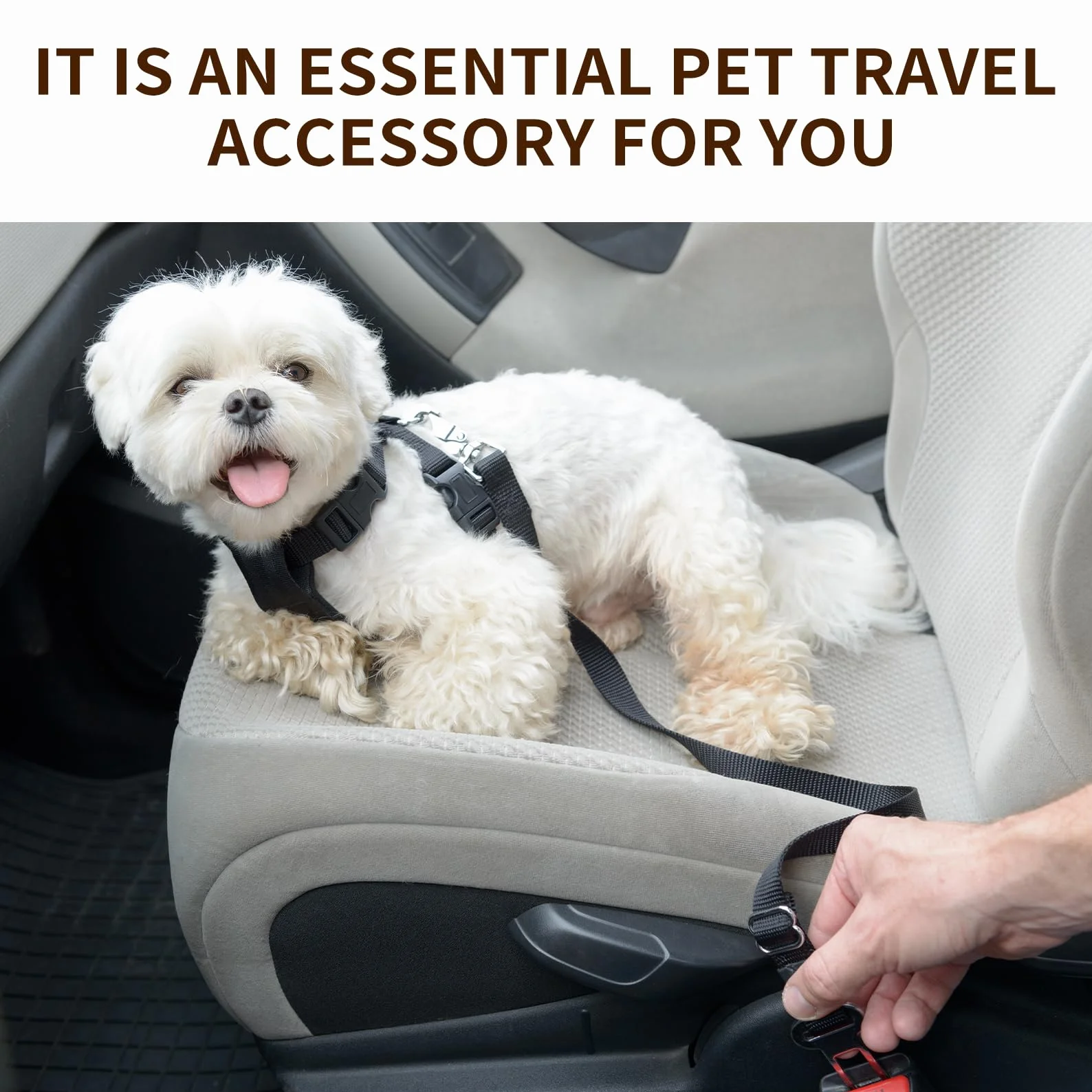 Harnais Ceinture Chien Voiture Sécurité Accessoires Attache Rallonge Transport pour Chats Chiot