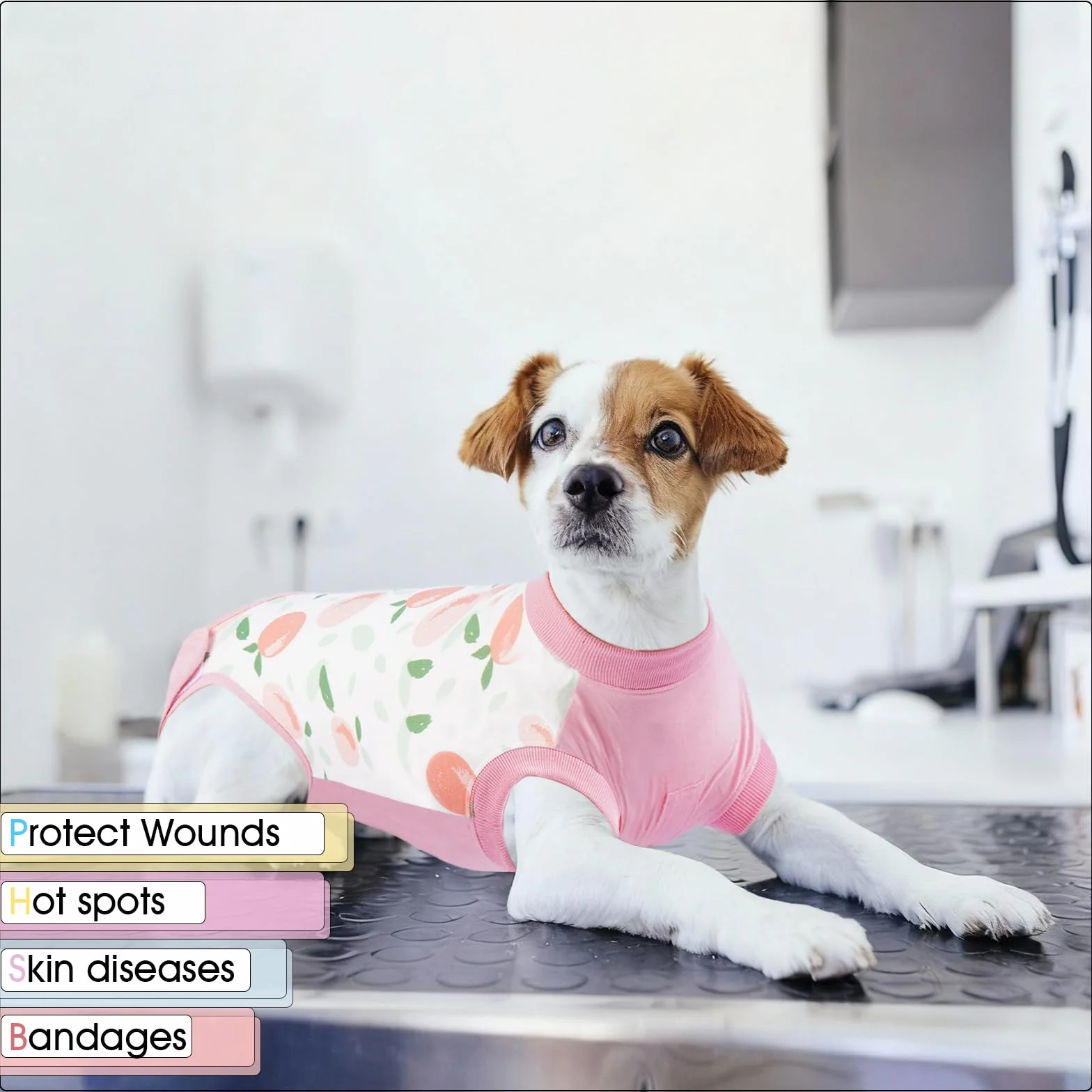 Body pour Chien Après Stérilisation Vêtement Chirurgie Post-Opératoire Pêche XL