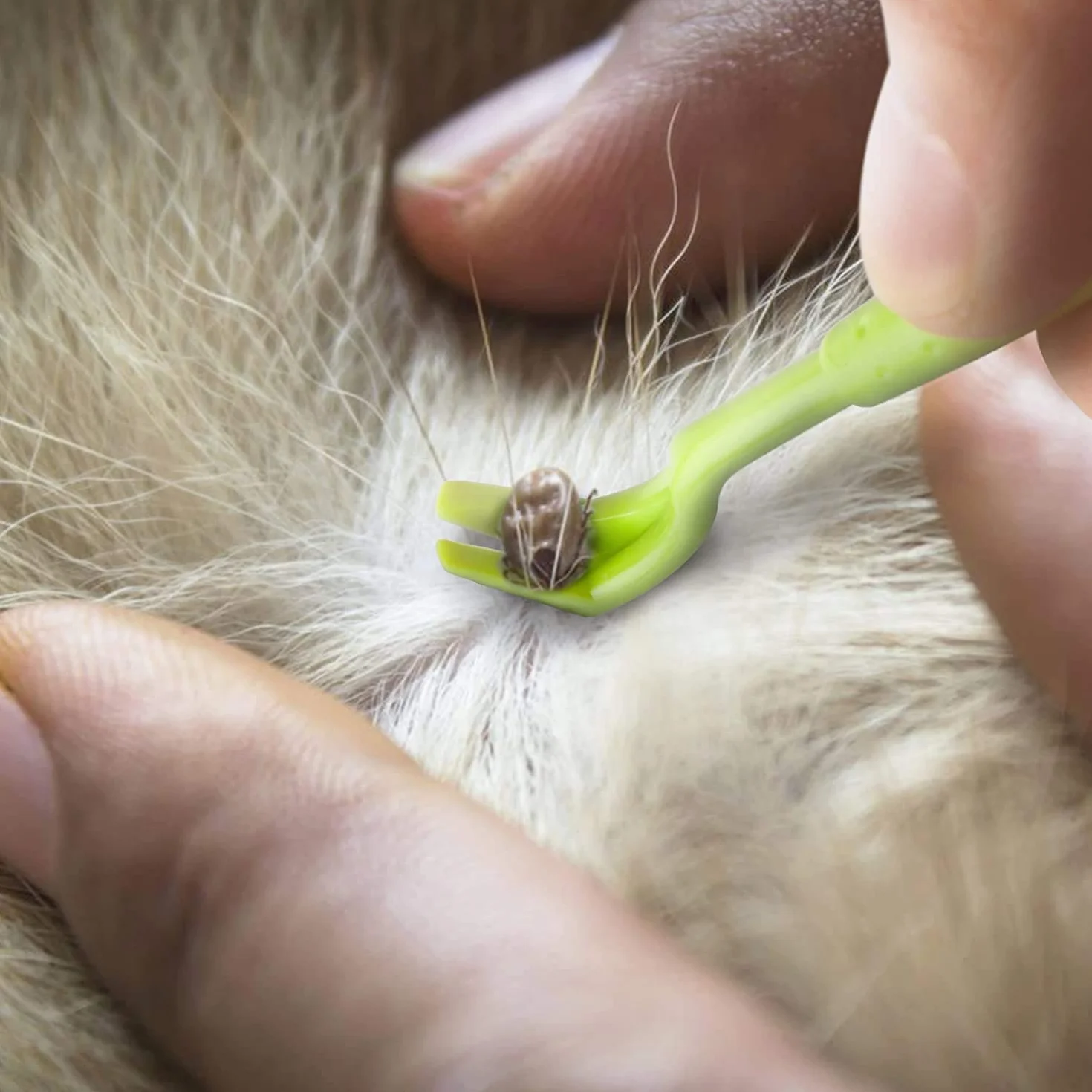 Crochet Tiques 3 Pièces Tire Tique Pince Plastique pour Chiens Chats