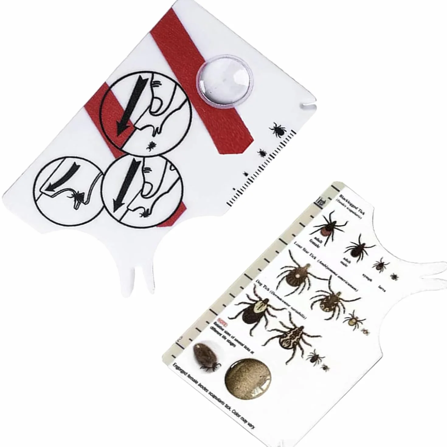 Lot de 2 cartes de retrait de tiques avec loupe, outil taille carte de crédit pour animaux et humains