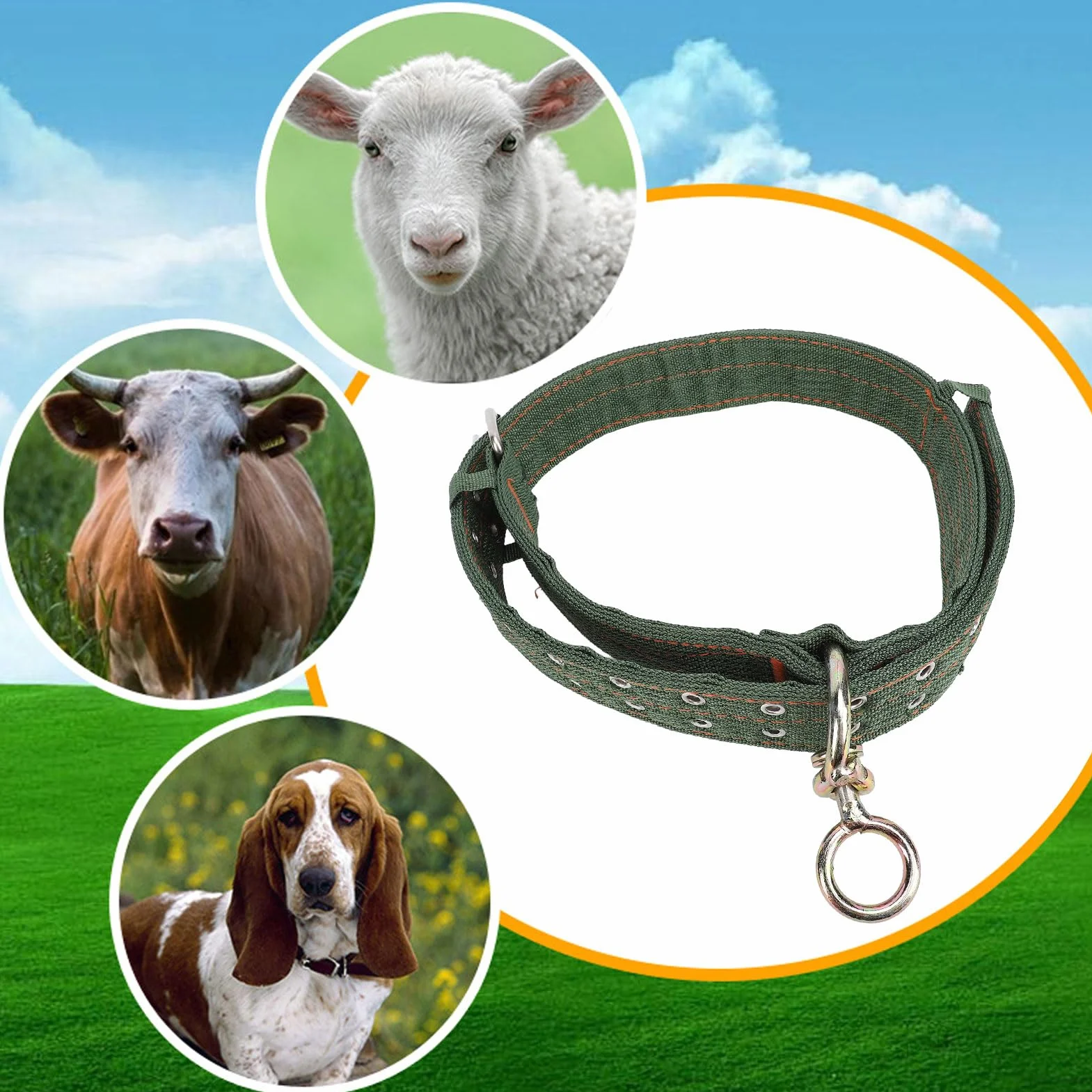 Collier pour bovins en Nylon épais avec Boucle en métal et chaîne de Traction pour Chevaux, Chiens et Animaux de Ferme (Taille Moyenne)