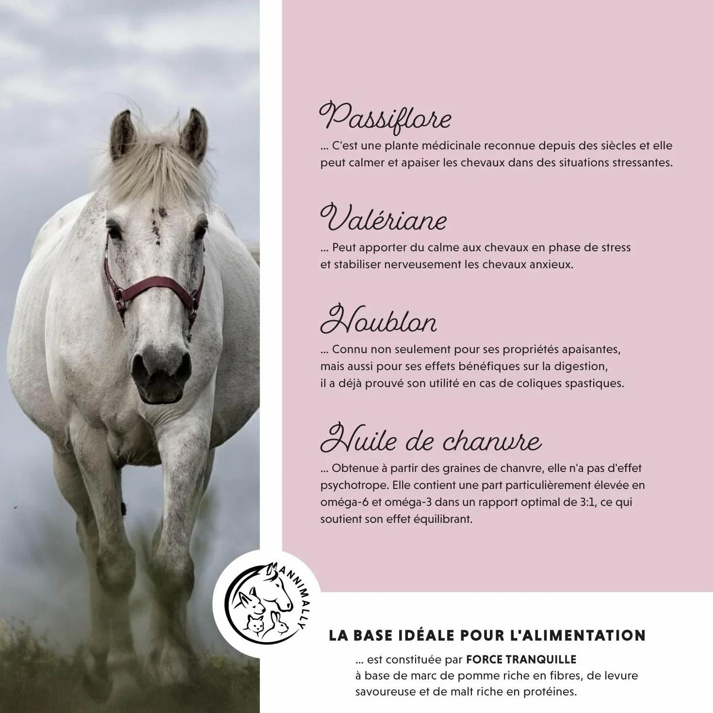 Annimally Poudre Relax pour Chevaux 850g pour Calmer Les Chevaux - Herbes pour Les nerfs avec magnésium, tryptophane, valériane, passiflore et Huile de Chanvre Contre l'anxiété, Le Stress