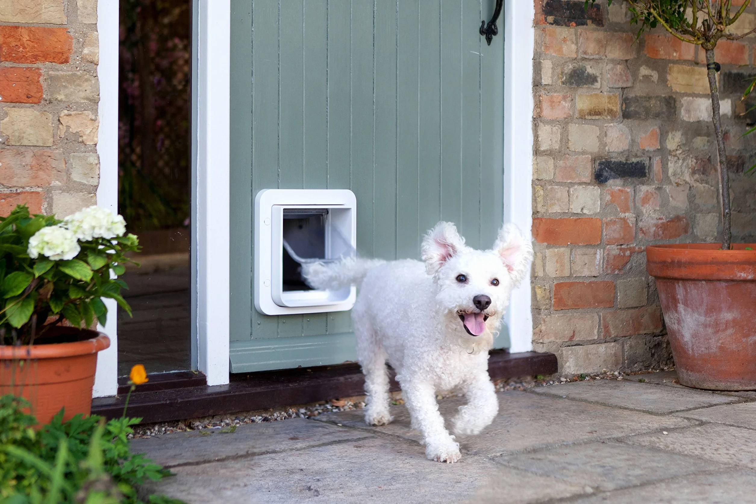 SureFlap Sure Petcare Grande chatière à Puce électronique pour Chats et Petits Chiens, Fonction Couvre-feu, Blanc