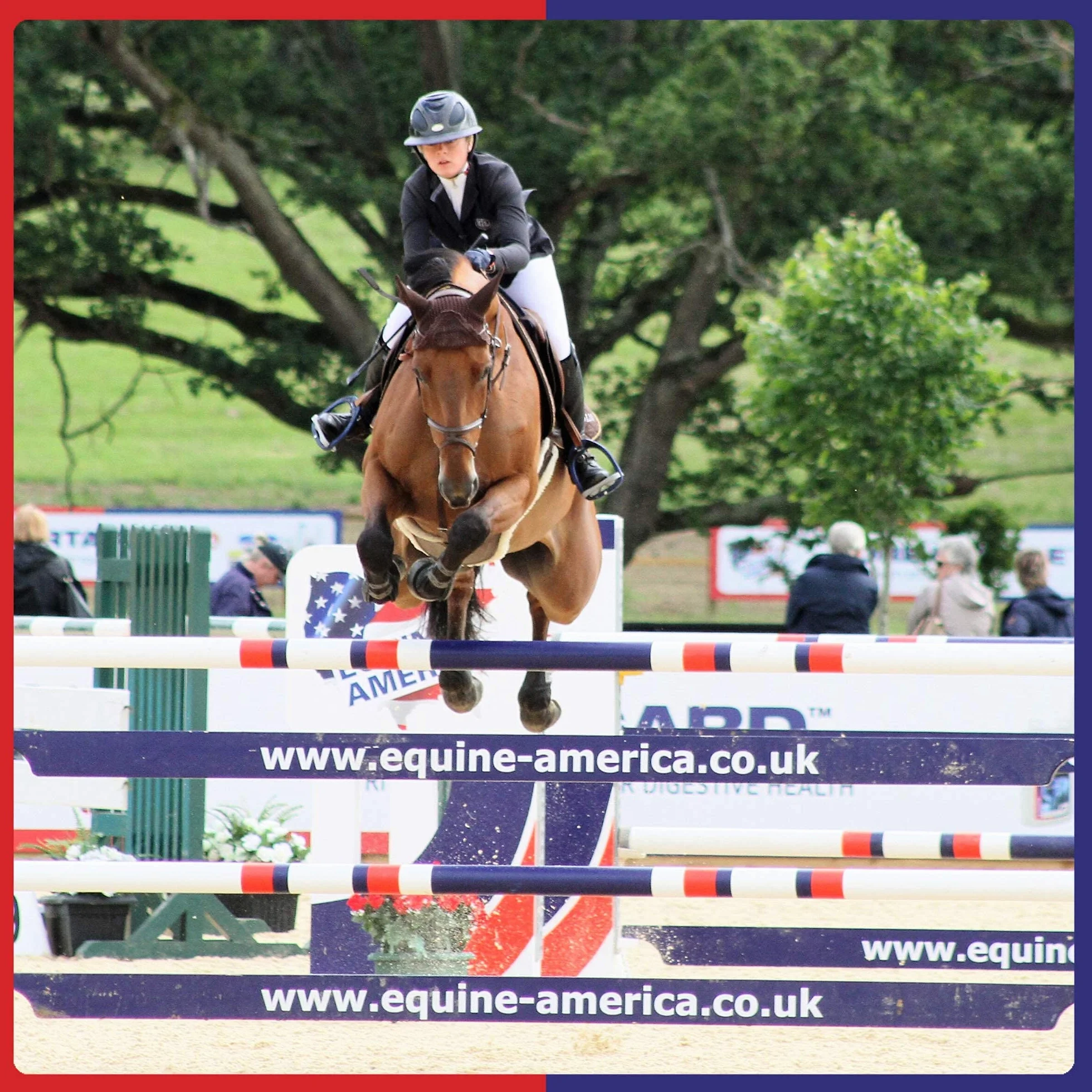 Equine America Cortaflex Poudre Régulière Supplément Cheval & Poney 900g