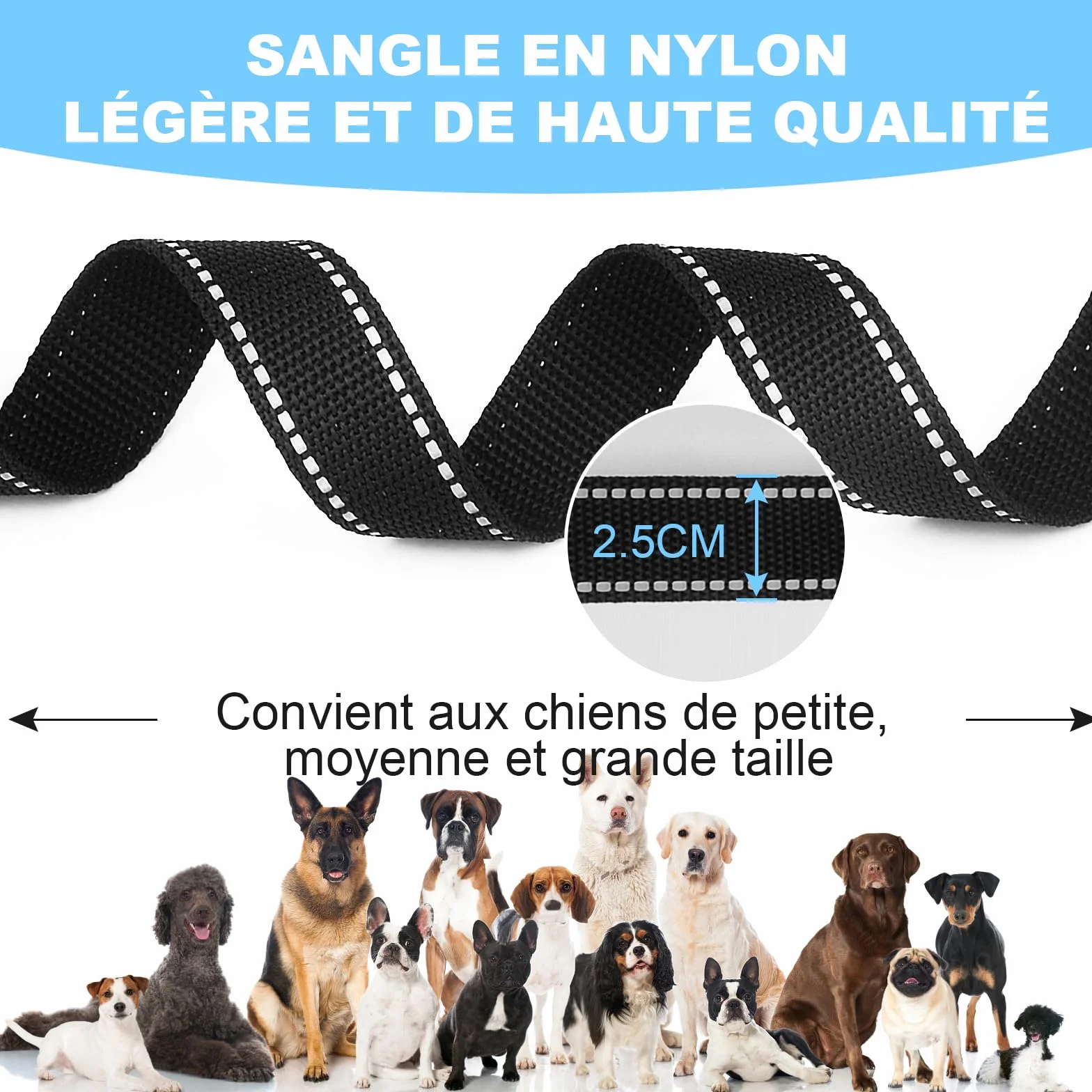 Longe pour Chien 3M 10M 20M 30M Laisse de Dressage Réfléchissant
