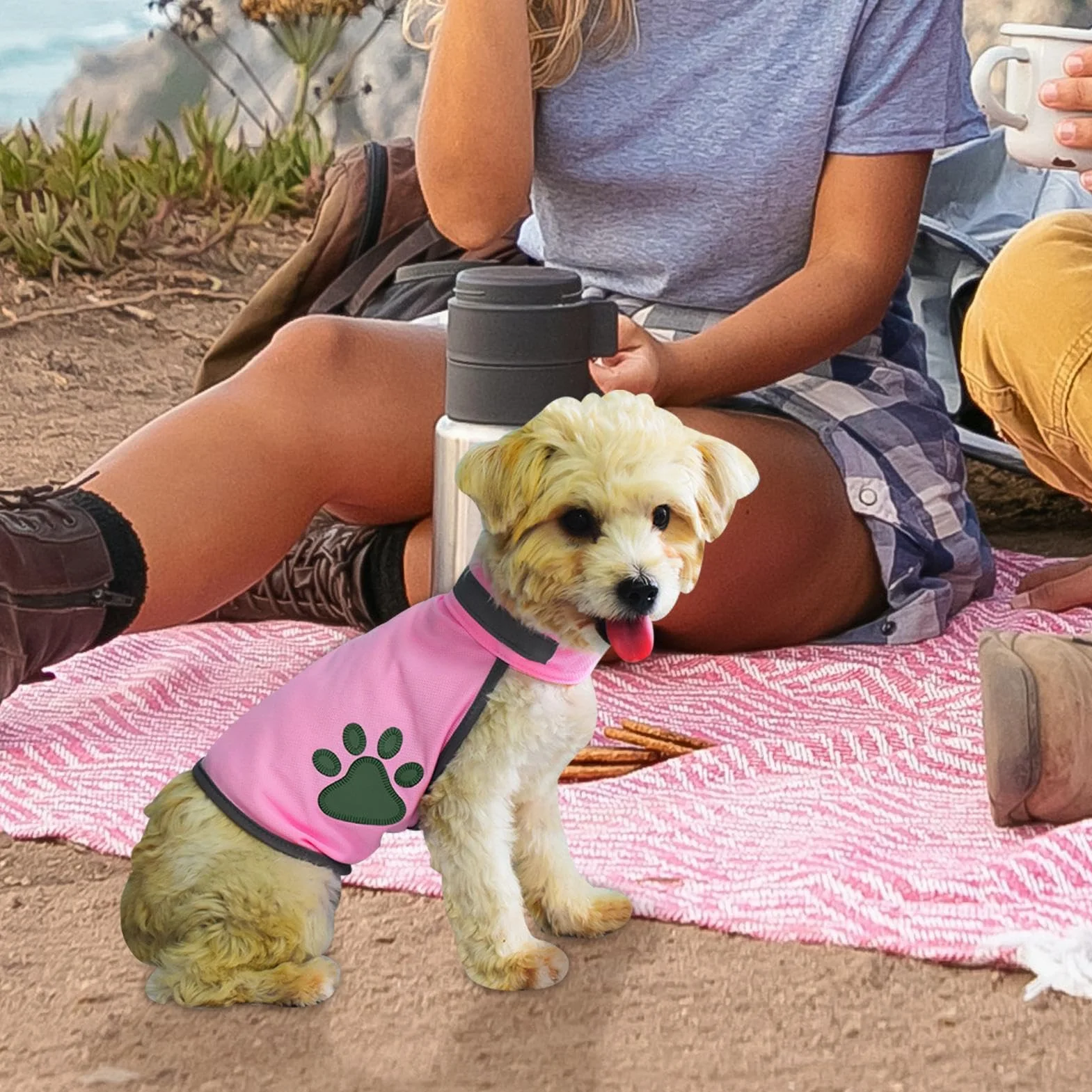 Gilet haute visibilité réglable pour chien, harnais réfléchissant de sécurité nocturne