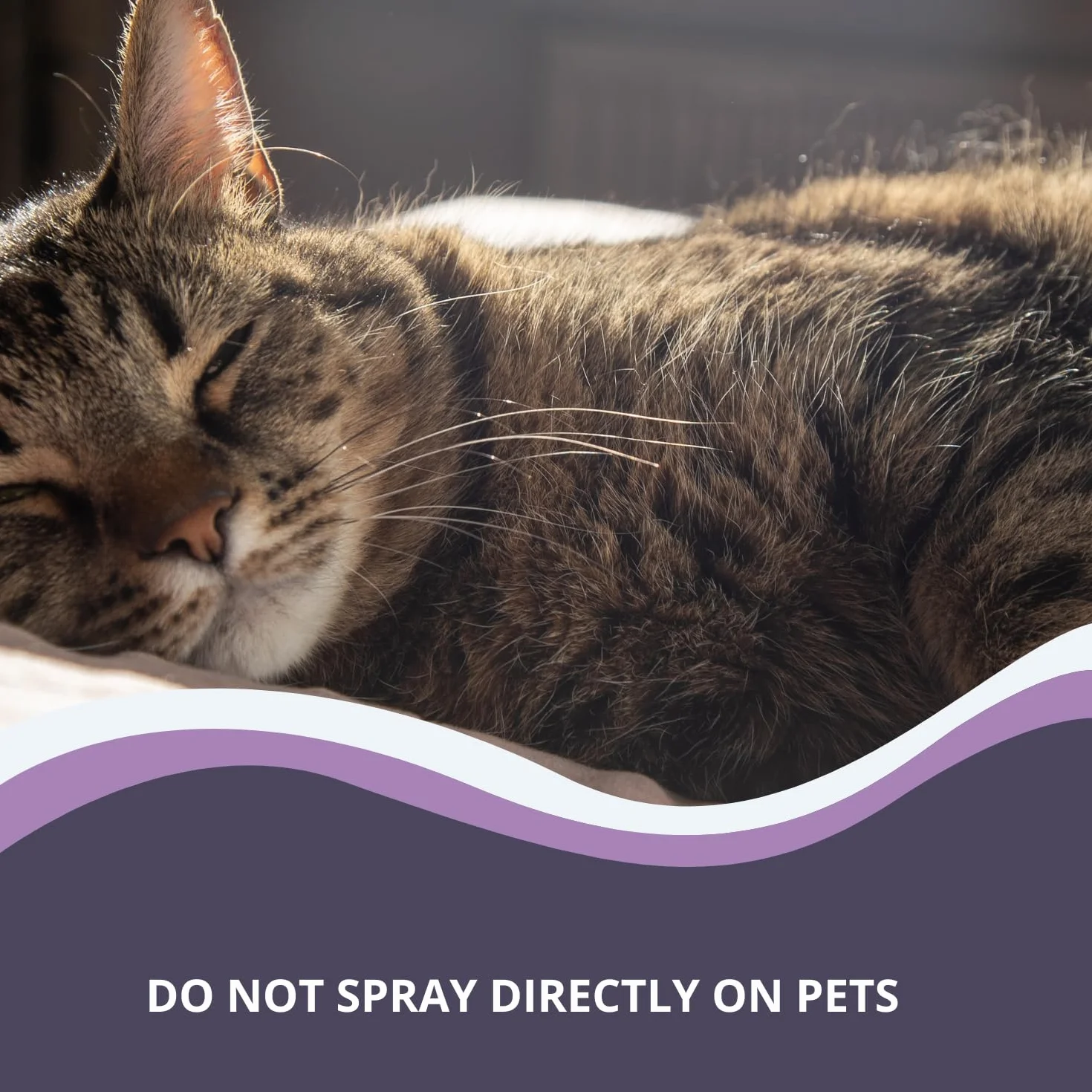 Spray apaisant naturel pour chiens et chats lavande ylang-ylang encens 100 ml