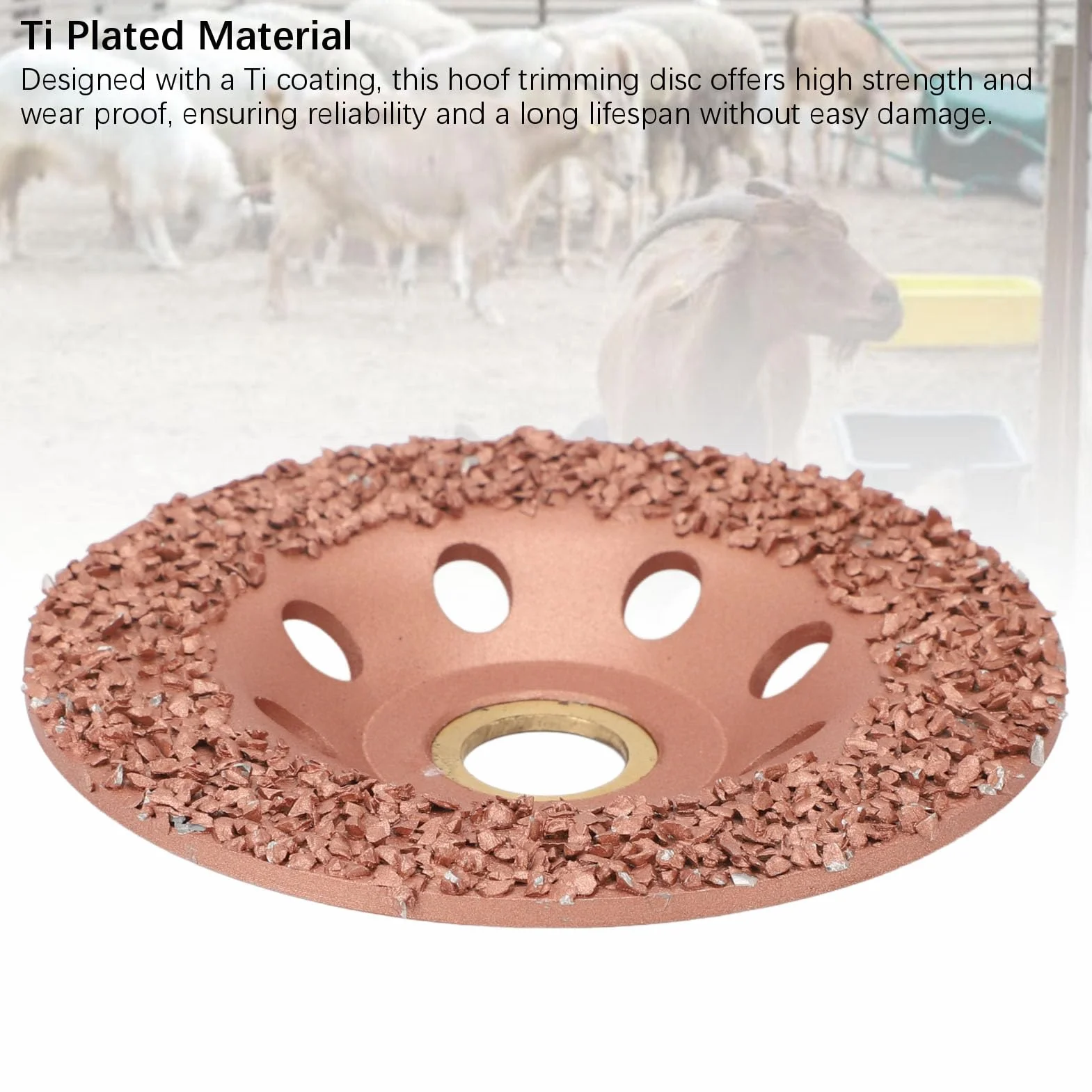 Pyhodi Disque de Parage pour Sabots de Bétail, Parage Robuste pour Sabots Robustes de Chèvres, Chevaux, Moutons et Bovins, Meule à Sabots Plaquée Titane, Outil de Réparation de Sabots,