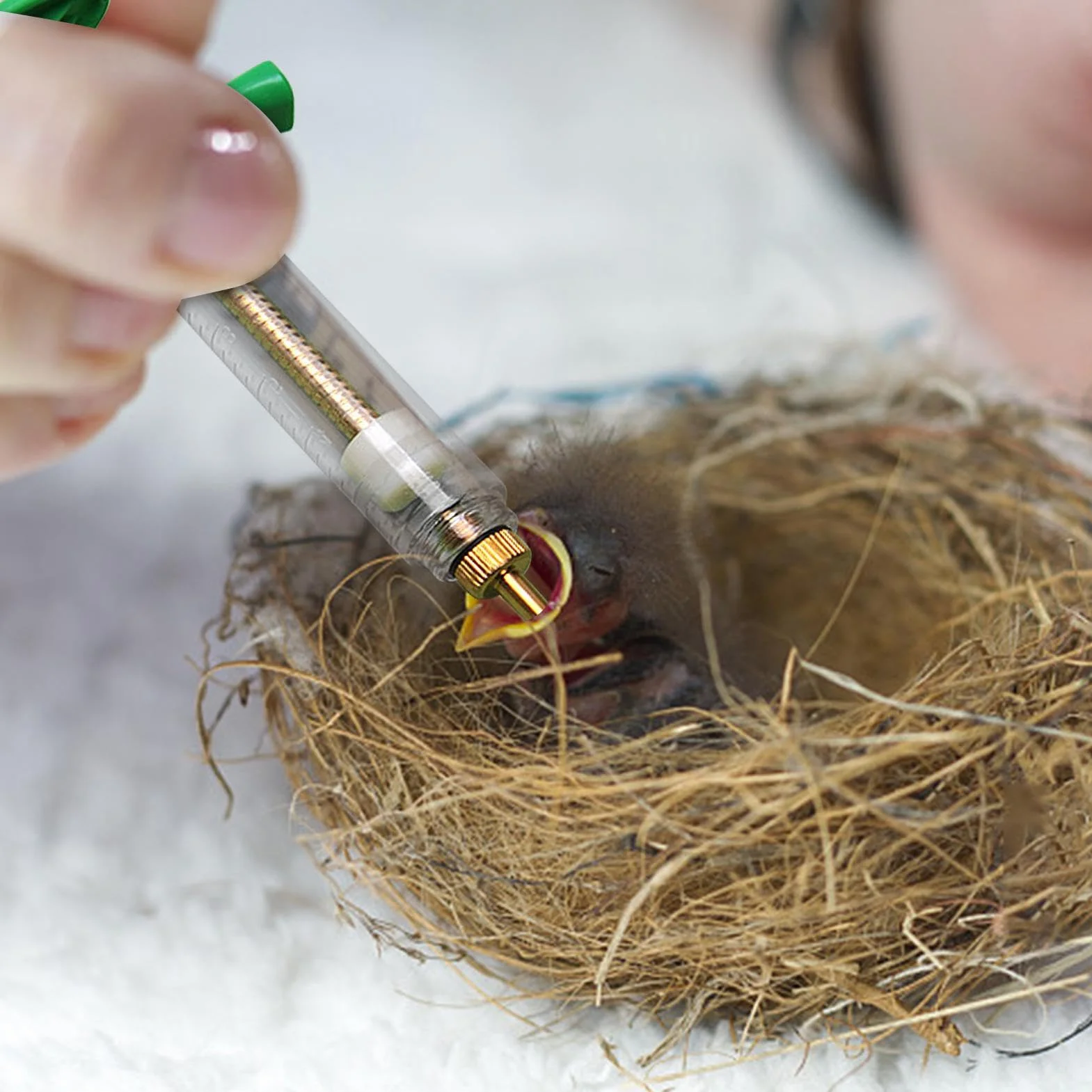 Seringue pour aliments pour jeunes oiseaux avec tuyau souple et cuillère, kit d'injecteur d'alimentation