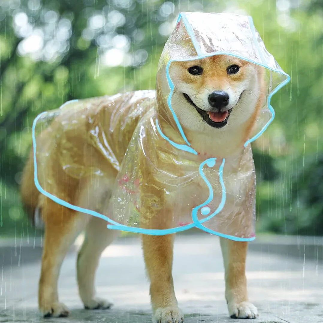 Imperméable pour Chien - Manteau Anti-Pluie Poncho pour Chiens avec Capuche en Nylon Transparent, Réglable et facile à porter, Imperméable et résistant au vent pour Chiens de Petite et Moyenne (XL)