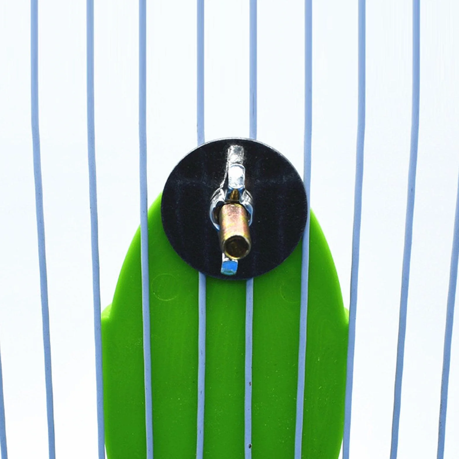 Porte-os de seiche pour Cage à Oiseaux - Support à Os de seiche pour Perroquets, Calopsittes, Perruche