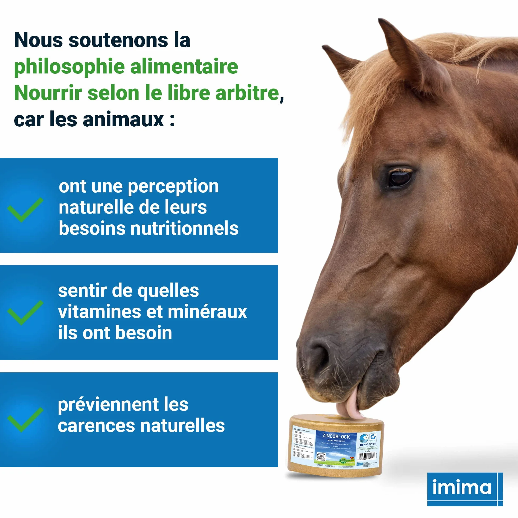 ZINCOBLOCK Lot de 4x3 kg Pierre à lécher minérale pour Chevaux Zinc Fer Cobalt Sélénium sel méditerranéen