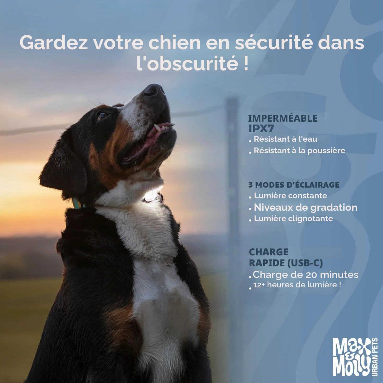 Max & Molly Matrix 2.0 Ultra LED, Lampe LED pour harnais, laisse et collier de chien, Noir, Étanche, Rechargeable par USB, Attache lumineuse pour chien pour plus de sécurité