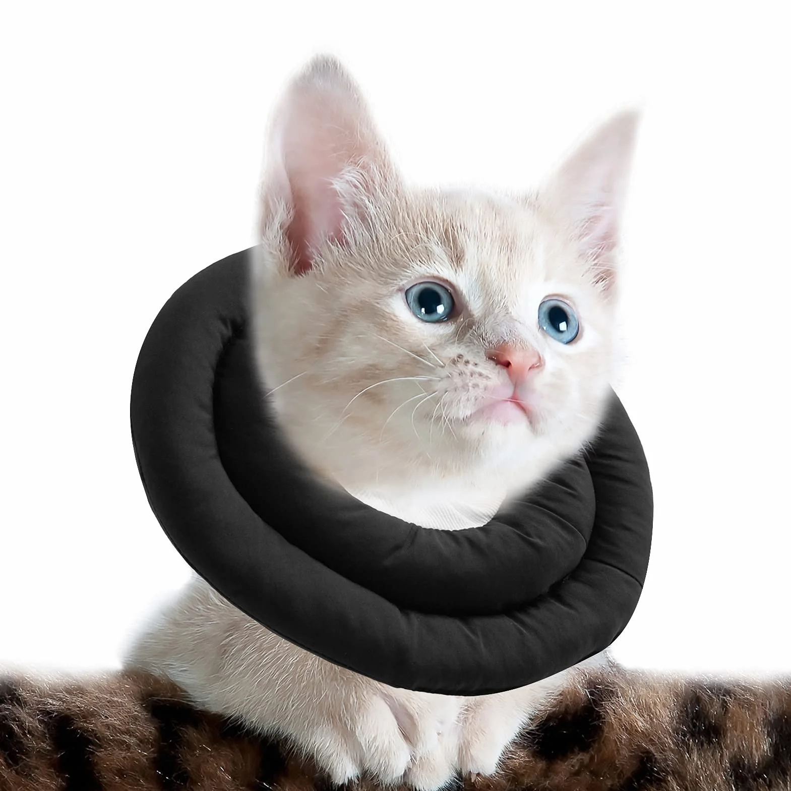 OHCOZZY Collerette pour Chat Réglable Anti-Léchage Chirurgie Noir M