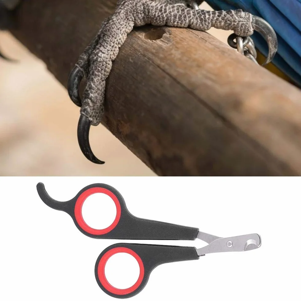 GOTOTOP Coupe-ongles pour animaux de compagnie petits animaux oiseaux perroquets chatons lapins outil de toilettage