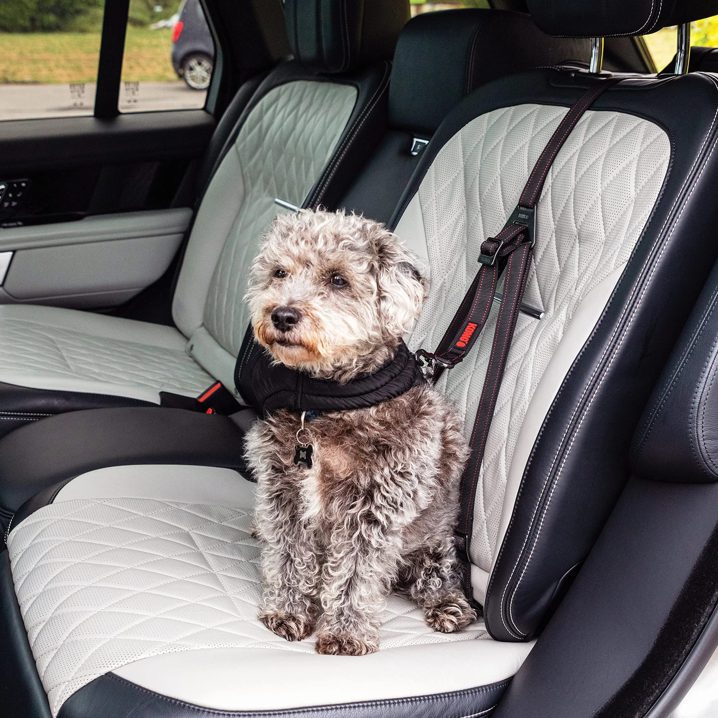 Kong Attache de sécurité Ultime, Ceinture de Sécurité Voiture pour Chien