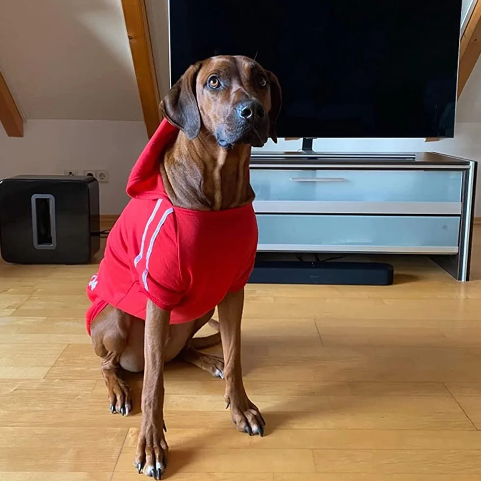 Sweat à Capuche Chaud Coton pour Chien, Noir, 3XL