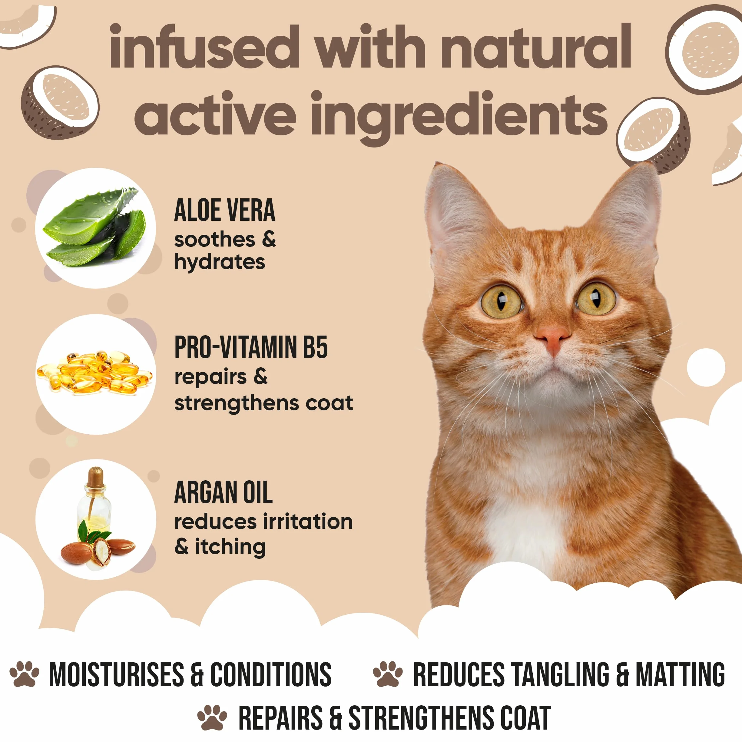Buddycare Coconut Cat Après-shampoing pour Chat 500 ml pH équilibré sans sulfate sans paraben
