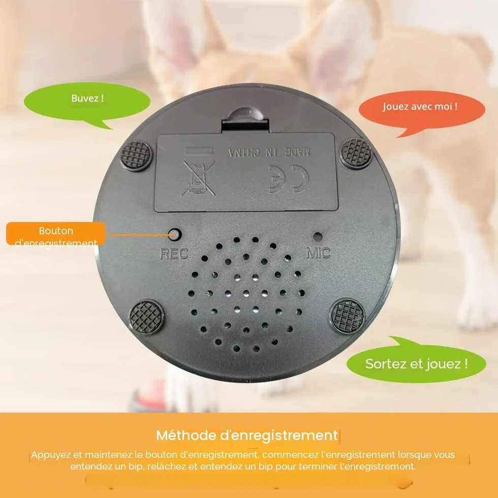 Buzzer Enregistrable Voix, Lot de 4 Buzzer Enregistrable, Bouton Parlant Enregistrable, Bouton Chien Communication, pour lEntraînement au Animaux Communication Enregistrée