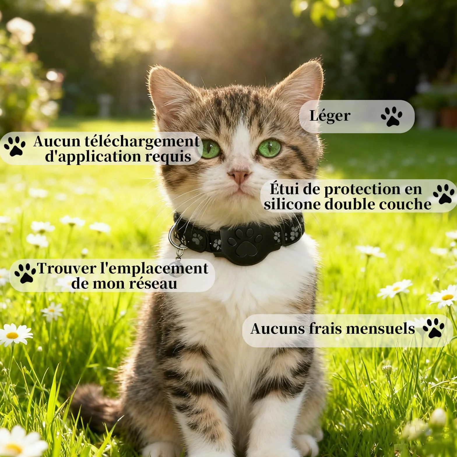 Collier GPS Chat 2026 Traceur GPS Chat Tracker sans Carte SIM sans Abonnement Localisation Temps Réel Compatible iOS Android Imperméable Durable Noir