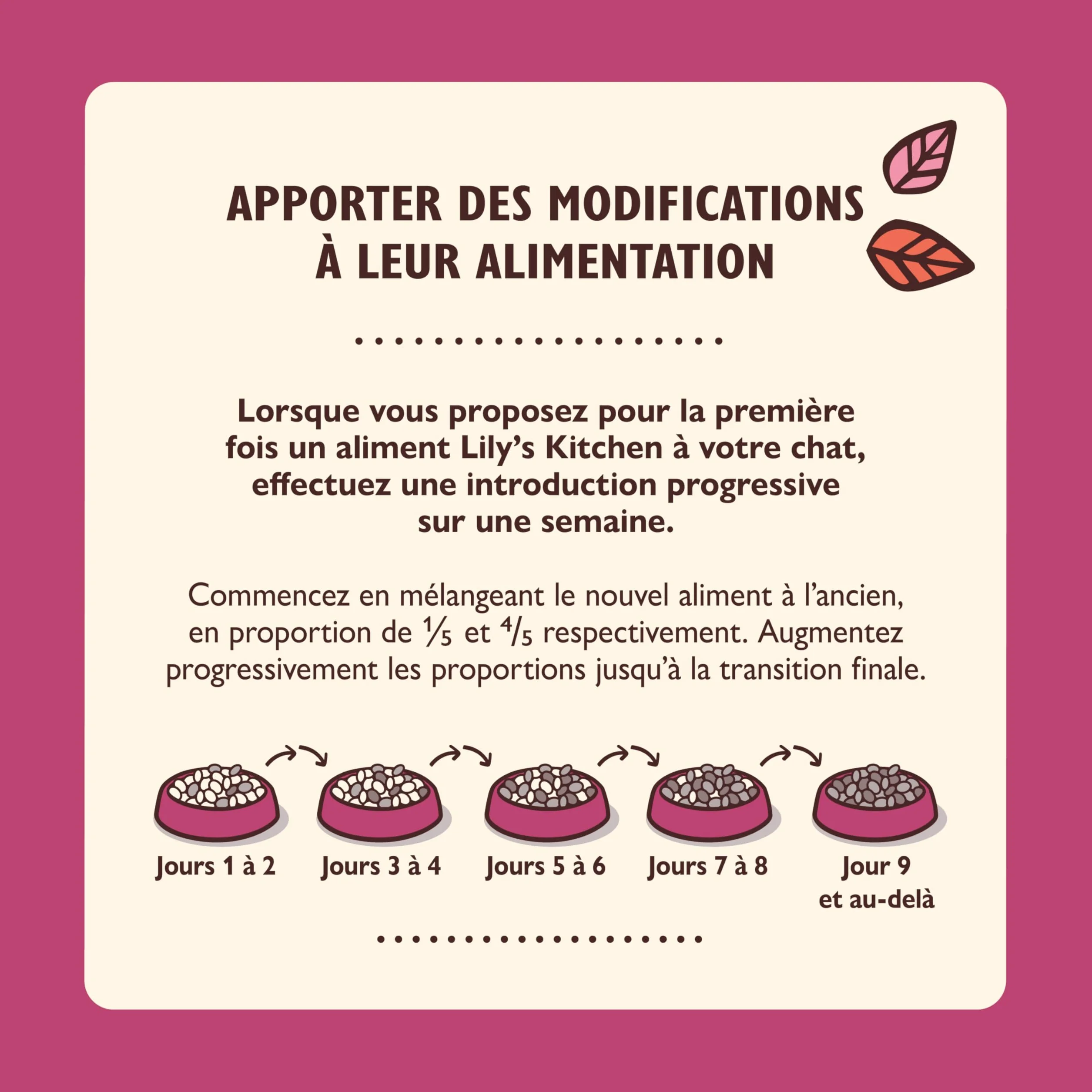 Lily's Kitchen Pâté lisse pour chaton, Poulet + bœuf (19 x 85 g)