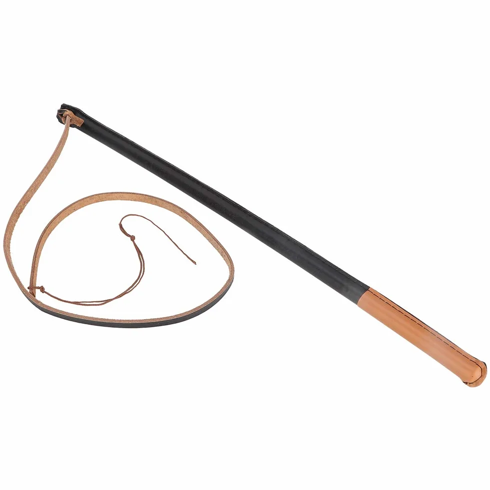 Flirt Pole pour Chiens de Grande Taille, Outils de Dressage