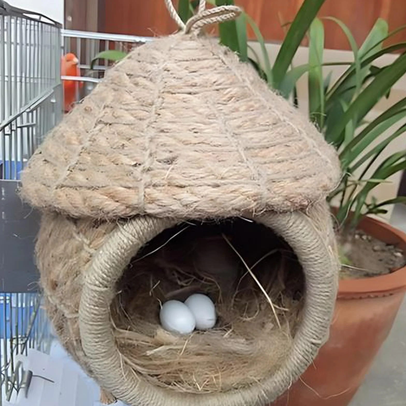 Nid Perruche Canaris en Jute Soie Paille Coton pour Petits Oiseaux Animaux Perroquets Pinsons