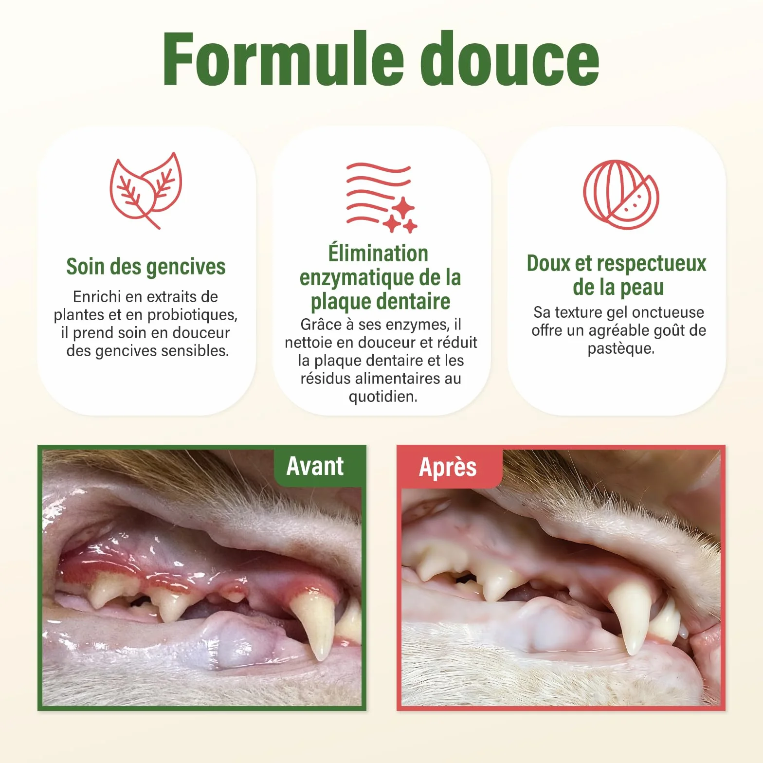 UNEK Dentifrice chiens chats saveur pastèque 2 brosses à dents