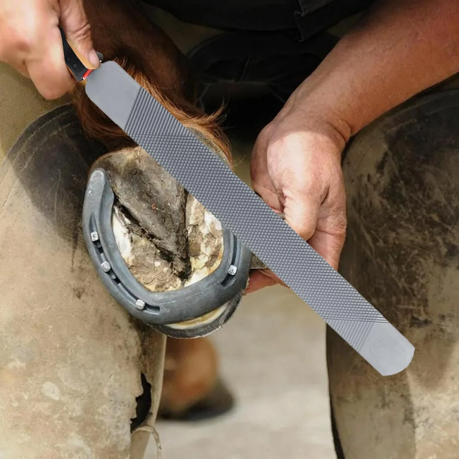 Râpe – Outil de Coupe de Sabots | Râpe Farrier – Farrier – Répartition des Sabots Double Face du Cheval – Outil de Coupe Ergonomique – pour chèvre, Vache, âne, Cochon, Sabots d'animaux, Animal