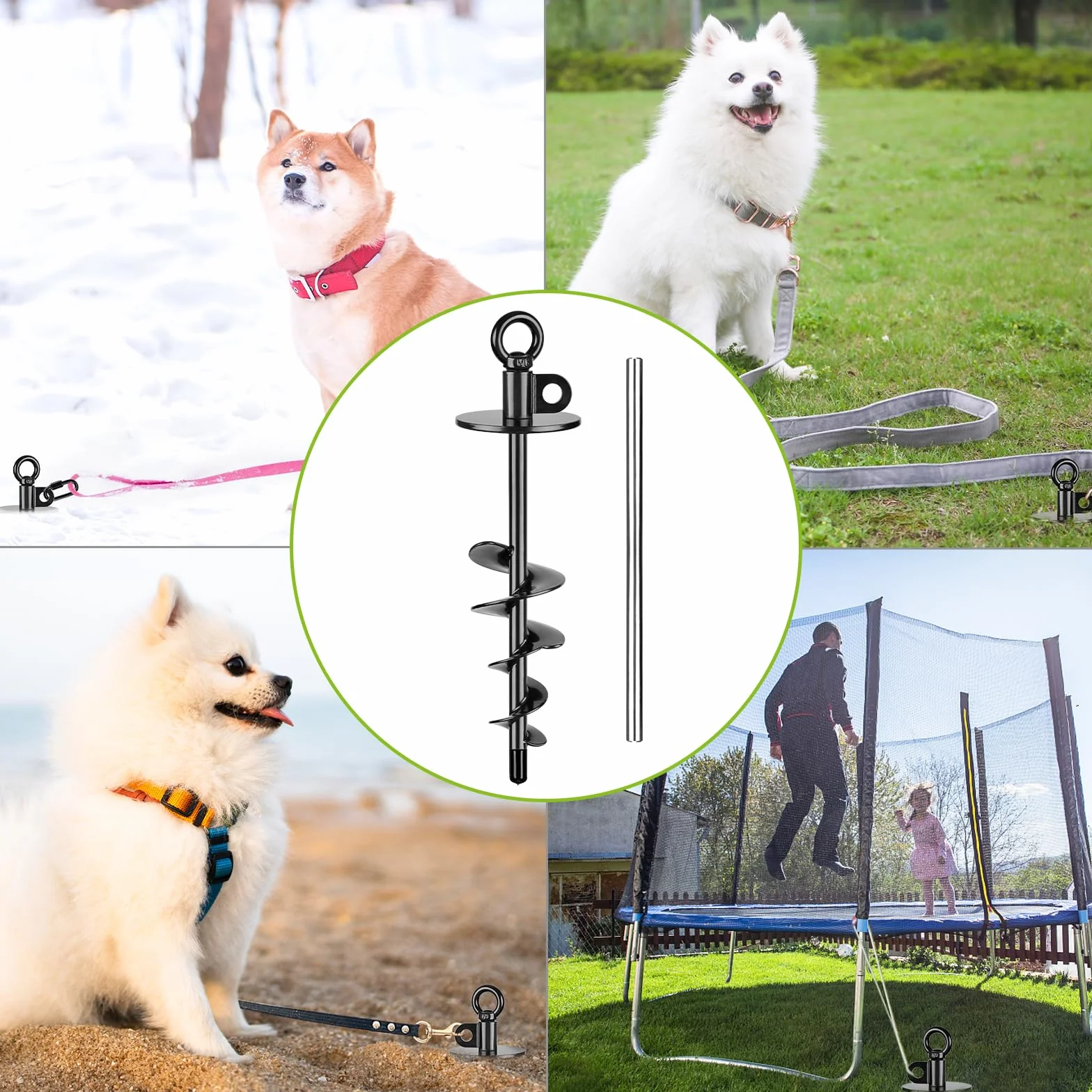 Piquet d'attache robuste pour chiens 100 kg sans nœuds noir