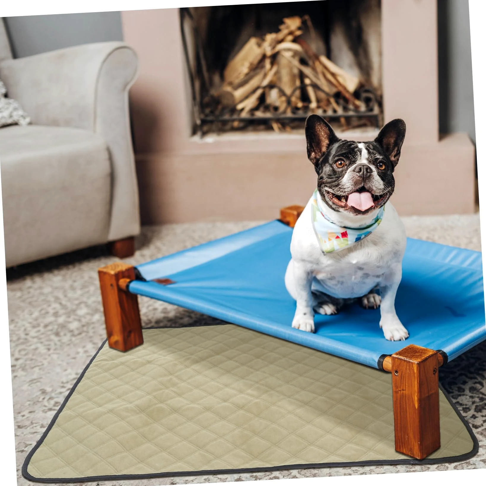 Toyvian 2pièces Tapis Urine Lavable Et Réutilisable pour Chien Tapis De Propreté Imperméable pour Parc Et Cage Apprentissage Propreté pour Chiots