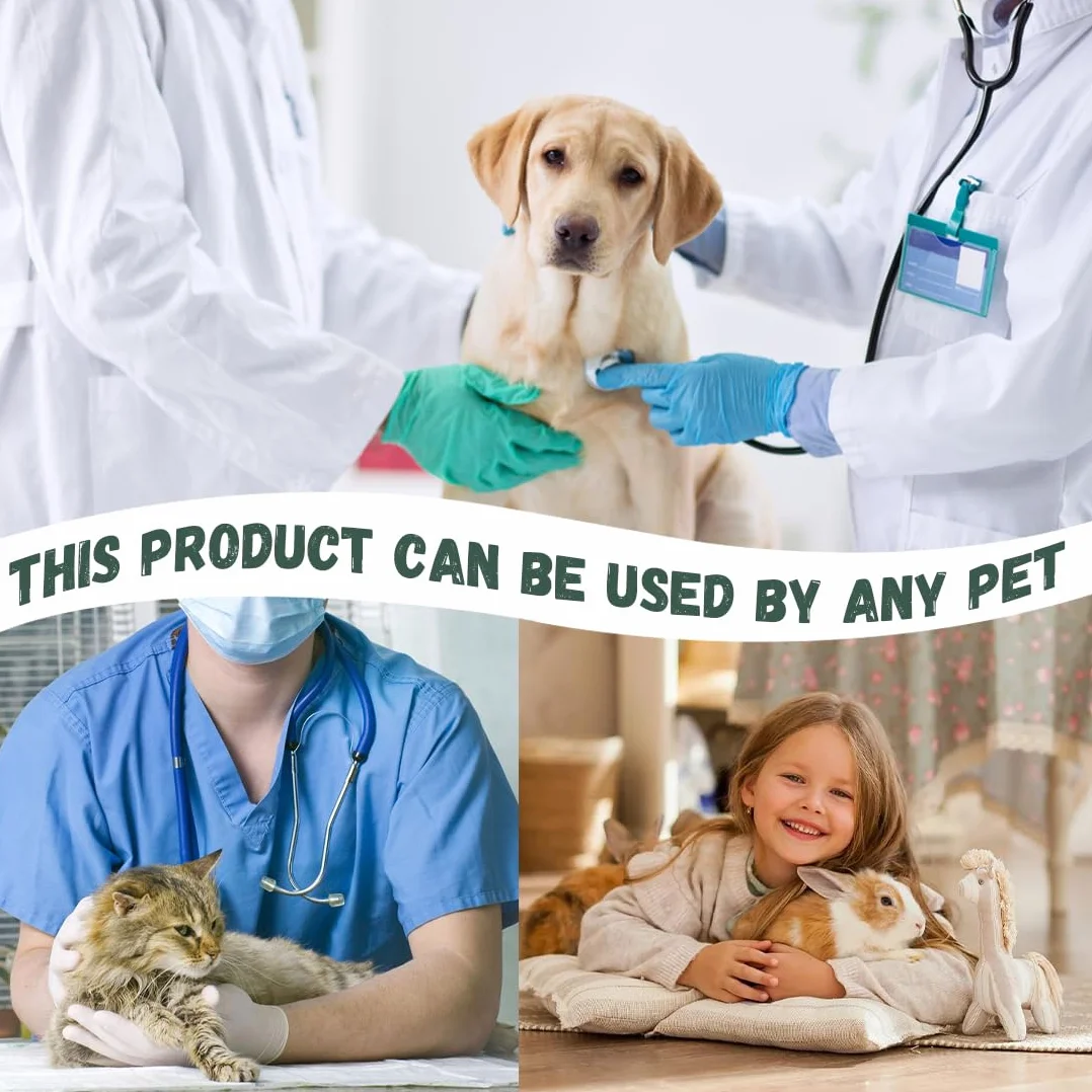 2 Pièces Pince A Tique Set, Crochet Tique Pour Éliminer Nymphes Et Tiques Adultes, Pince A Tique Pour Chien, Chats Et Autres Animaux