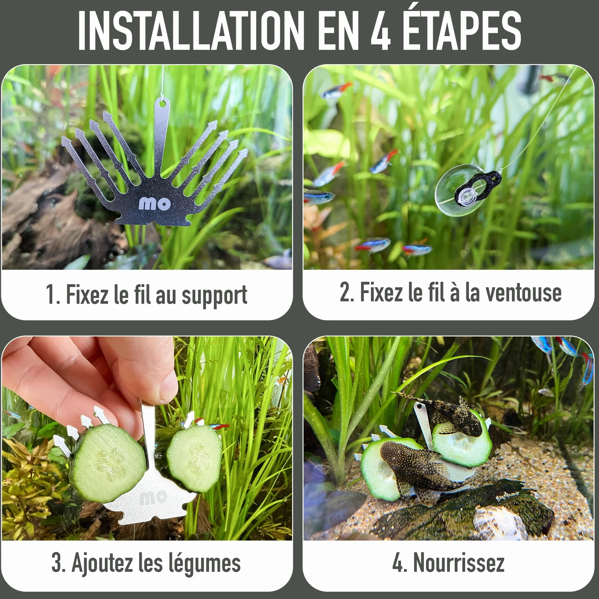 Support Concombre Aquarium INOX – Porte Légumes pour Pleco & Poissons de Fond – Ventouse Stable