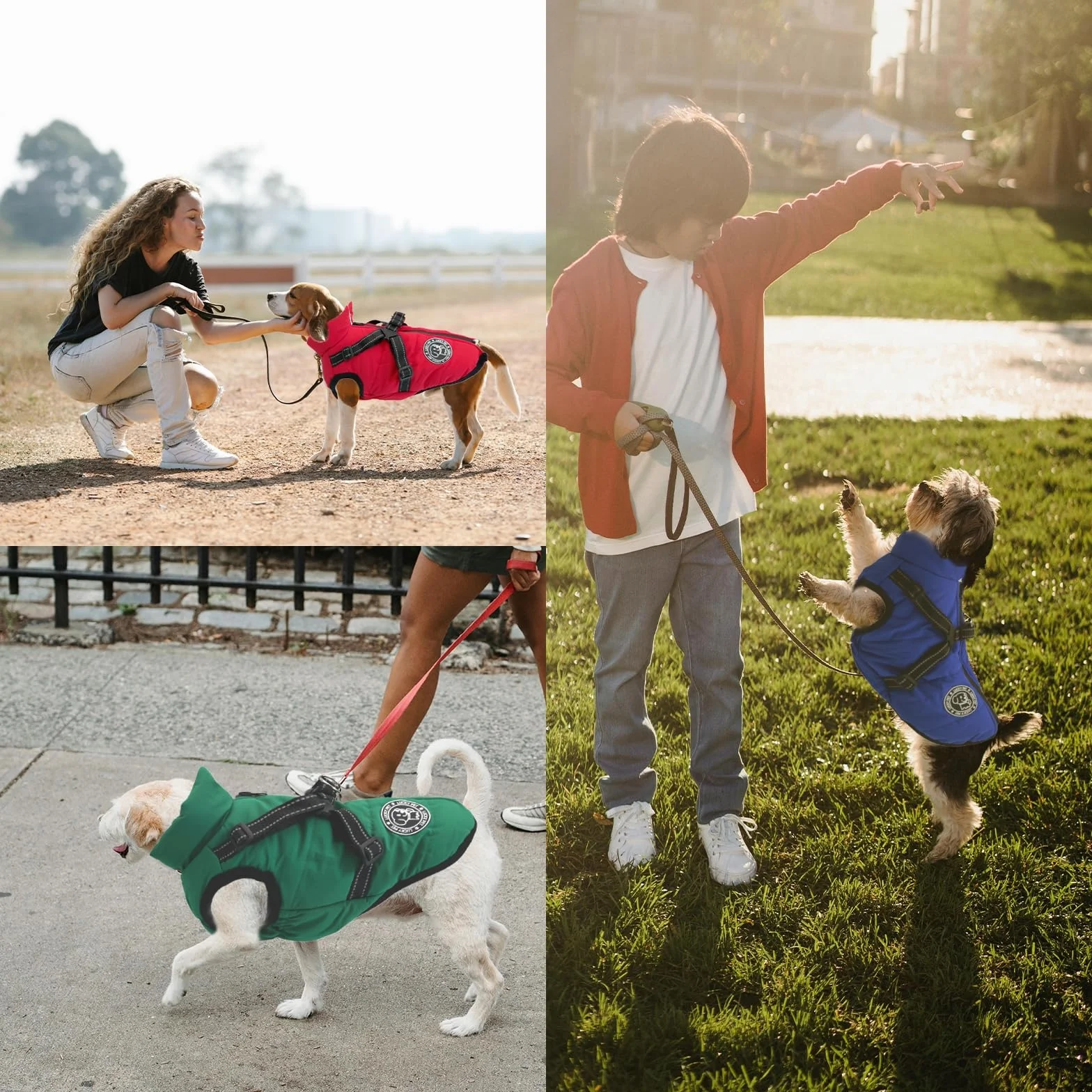 Manteau Chien imperméable Hiver avec Harnais
