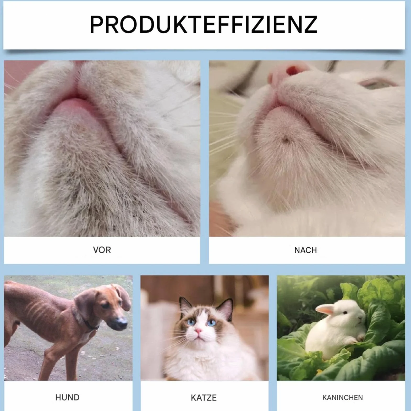 Crème pour l'acné de chat 30 g Kit de soins pour le menton avec brosse de nettoyage