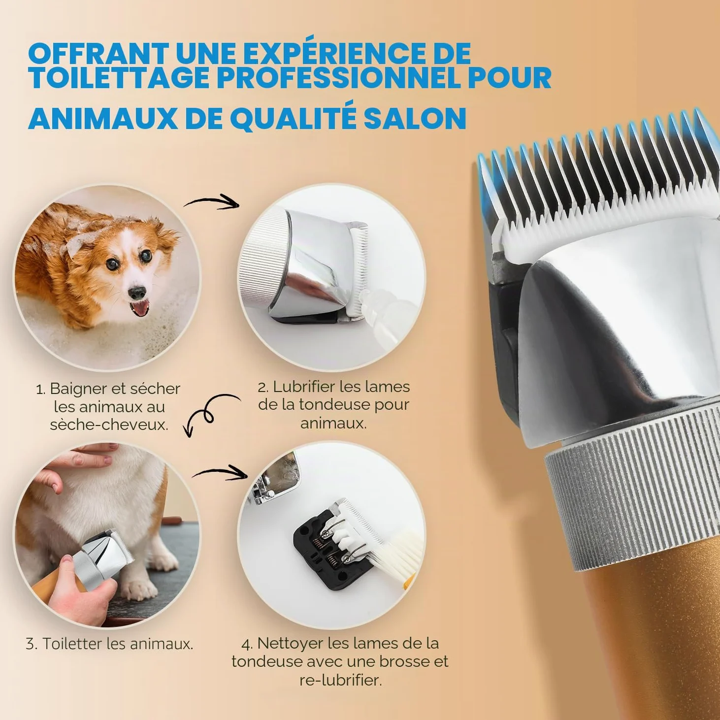 CGOLDENWALL 400W Tondeuse Chien Tondeuse à Moutons Électrique Rechargeable Tête de Coupe Peigne Limite Intégrés Amovible 5H en Veille Faible Bruit (3MM+6MM) | Professionnelle, <50dB, 5h Veille, Rechargeable, Anti-Poils Longs, Tous Poils