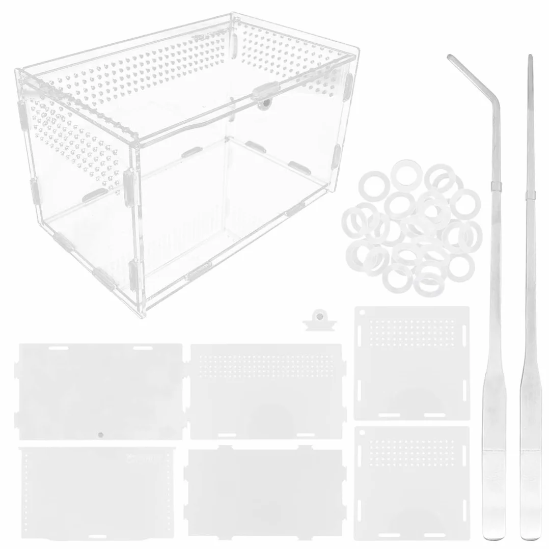 Terrarium en Verre Transparent 20x12x12 cm pour Reptiles avec Pinces