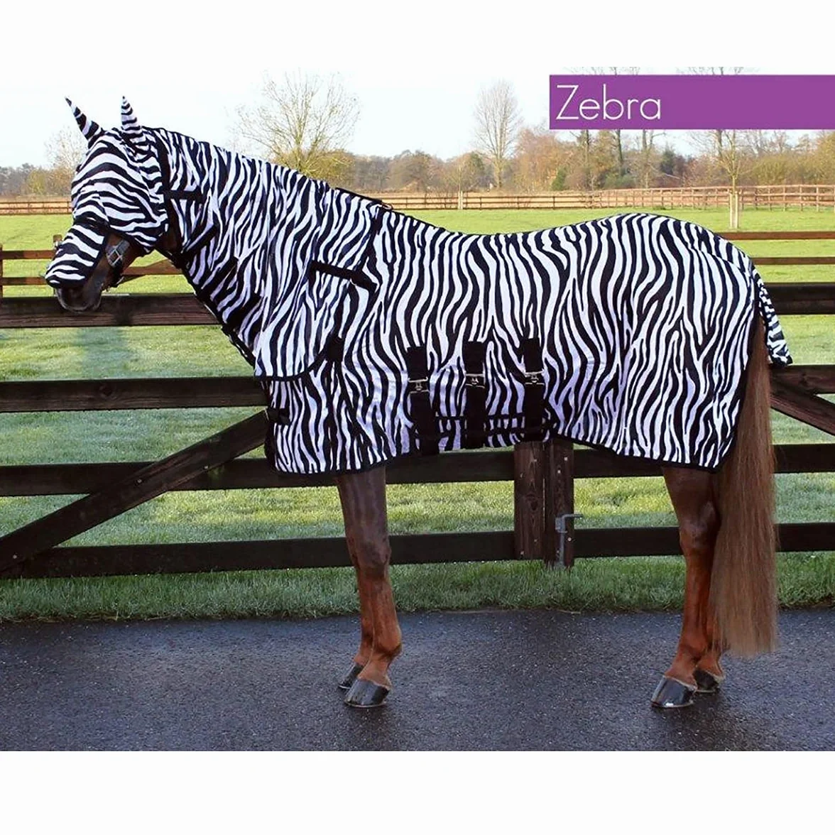 Couverture Anti Mouche QHP pour Cheval avec Couvre-Cou et Bonnet