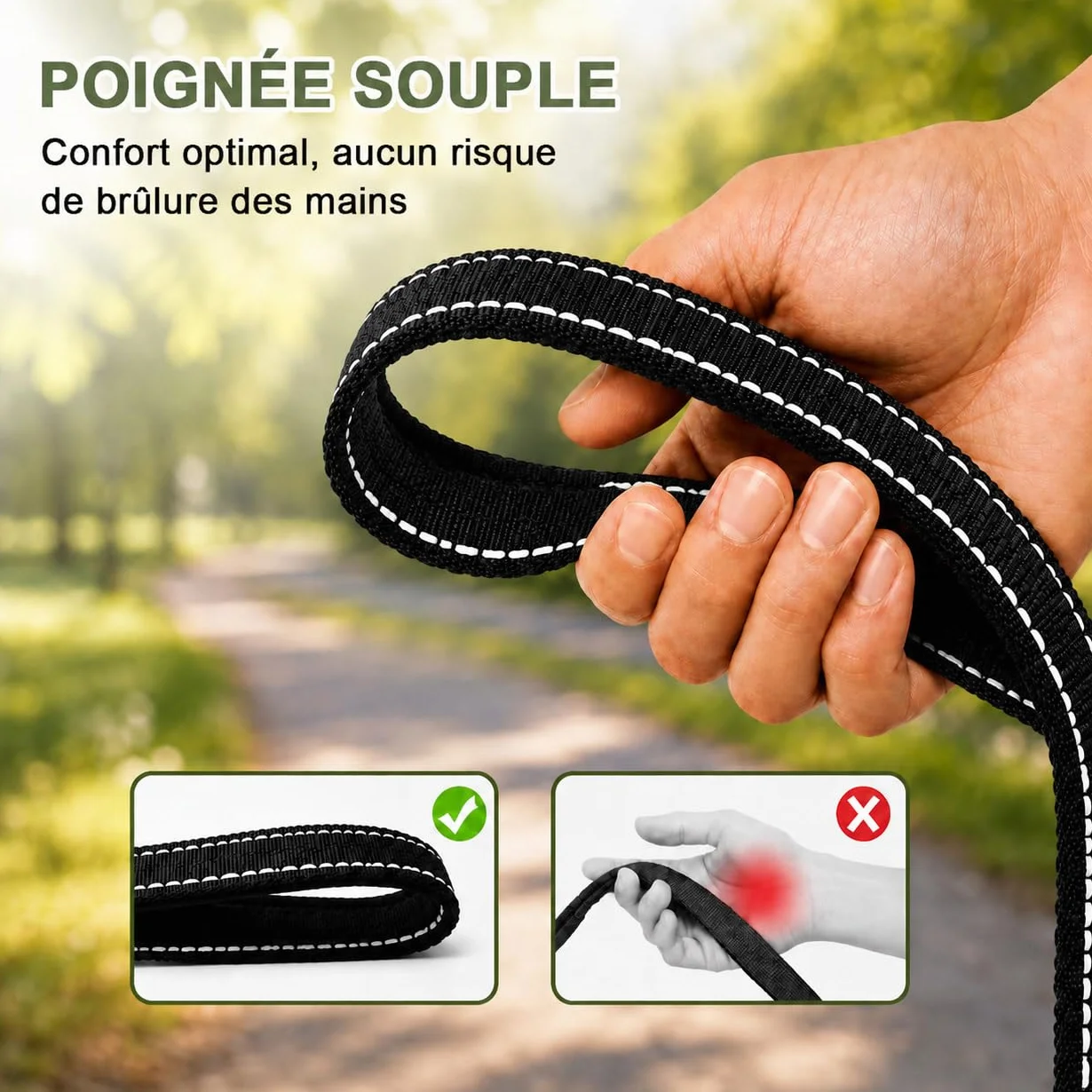 Longe pour Chien Réfléchissante 2M-30M Laisse de Dressage pour Petits Moyens Grands Chiens