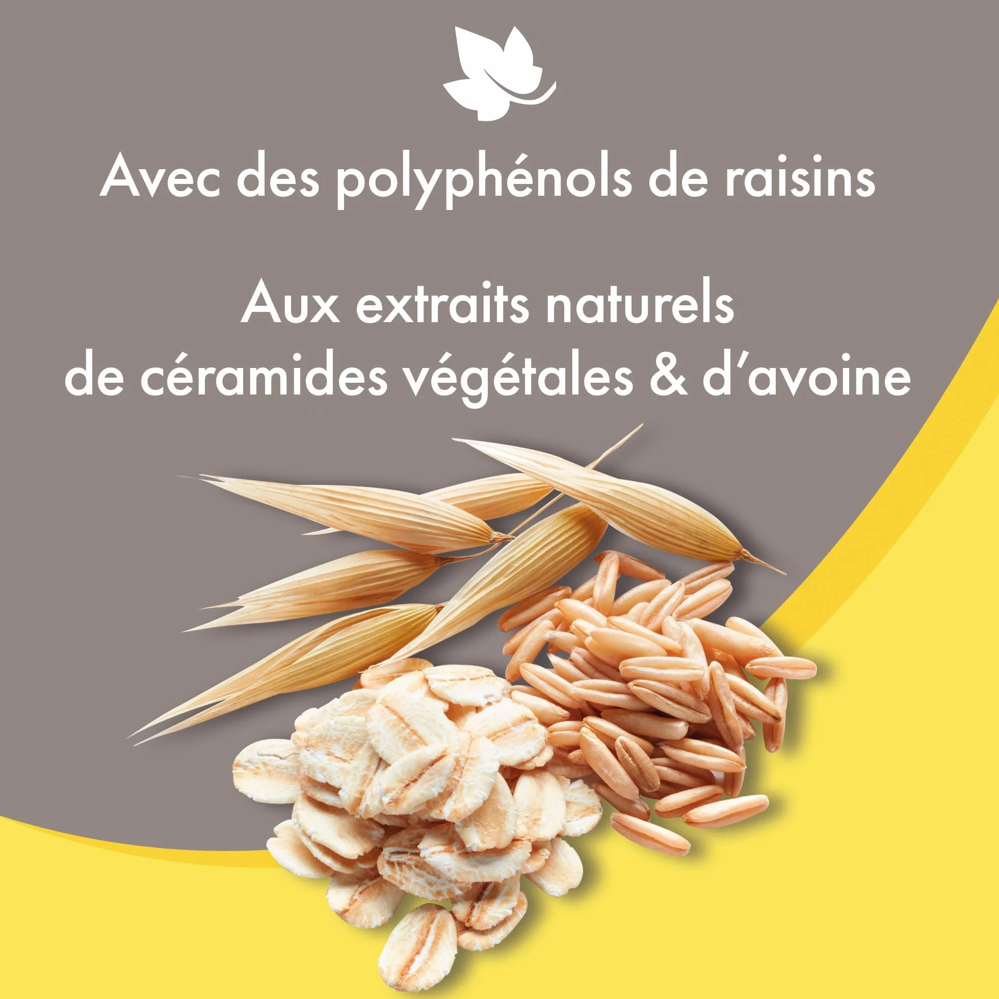 BEAPHAR – Shampoing Premium démêlant pour Chien aux Poils Longs – Aux extraits naturels de céramides végétales & d’Avoine – Démêle et nourrit – Pelage Brillant – pH Neutre & sans parabens – 750 ML